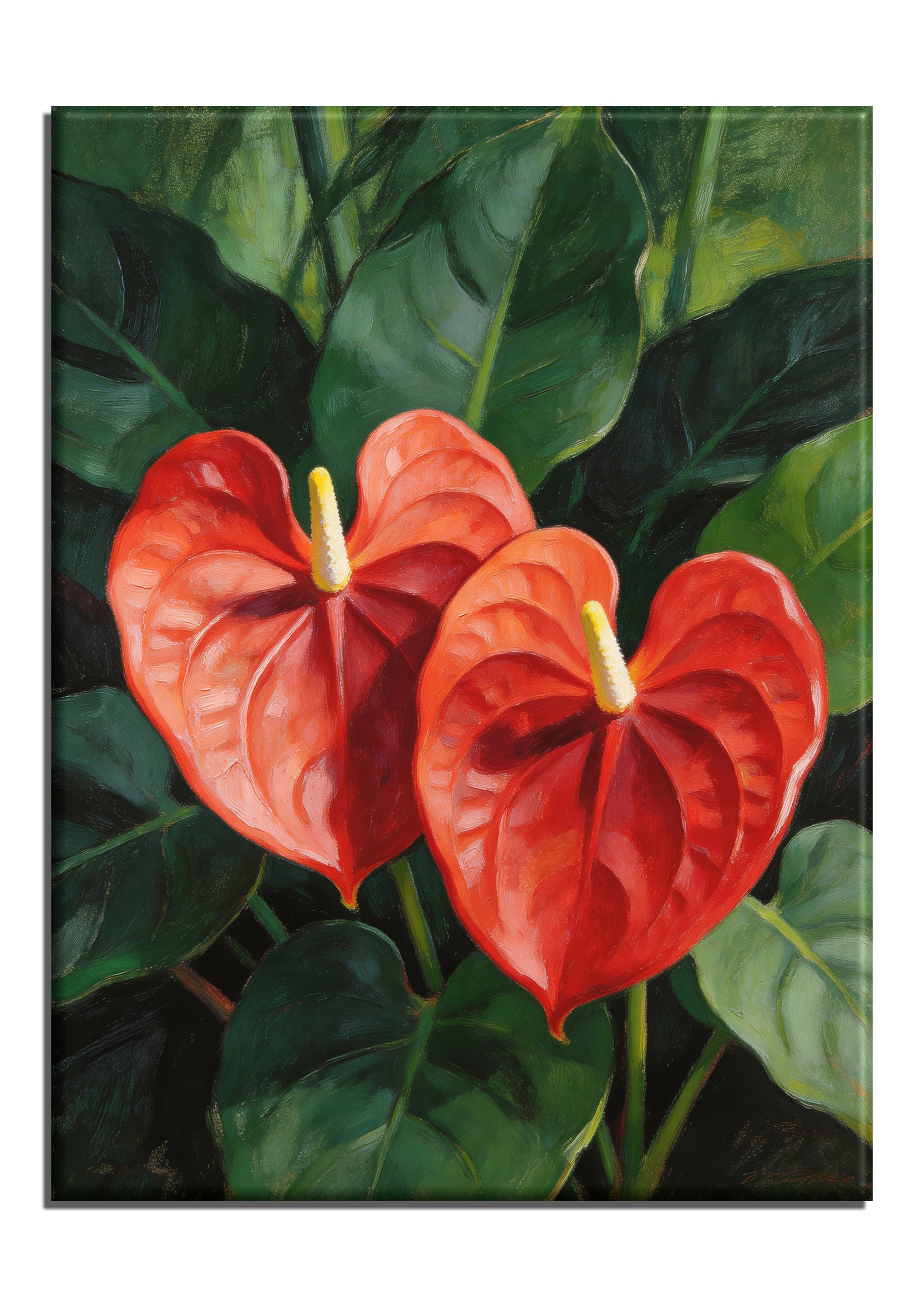 Anthurium