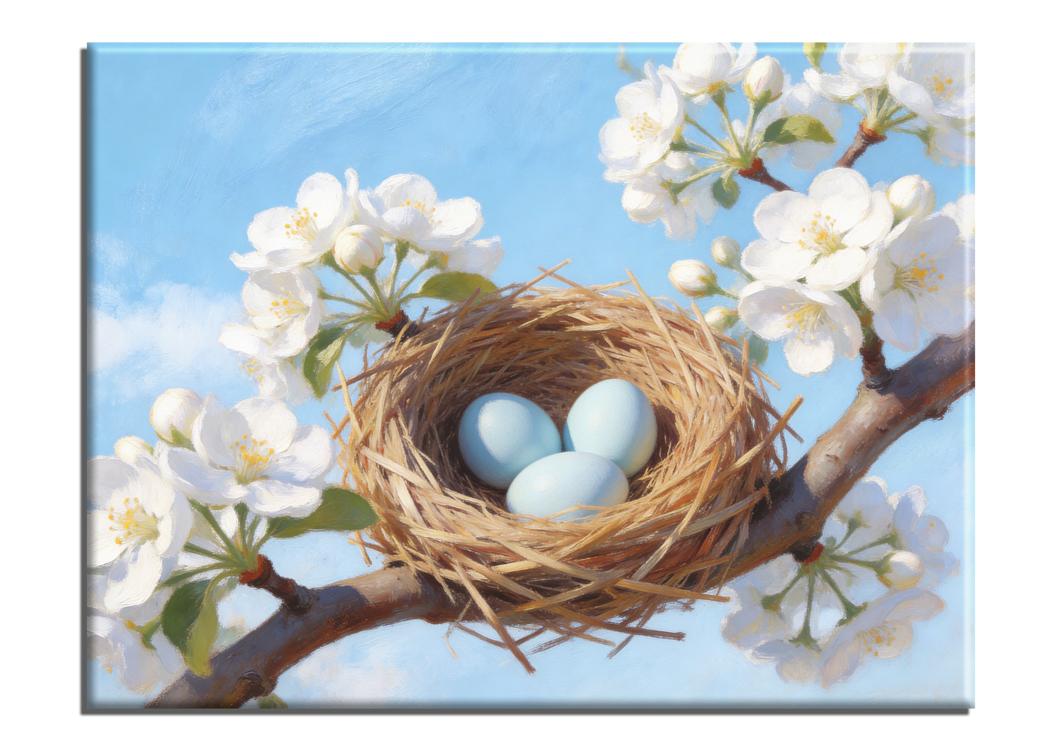 Birds Nest