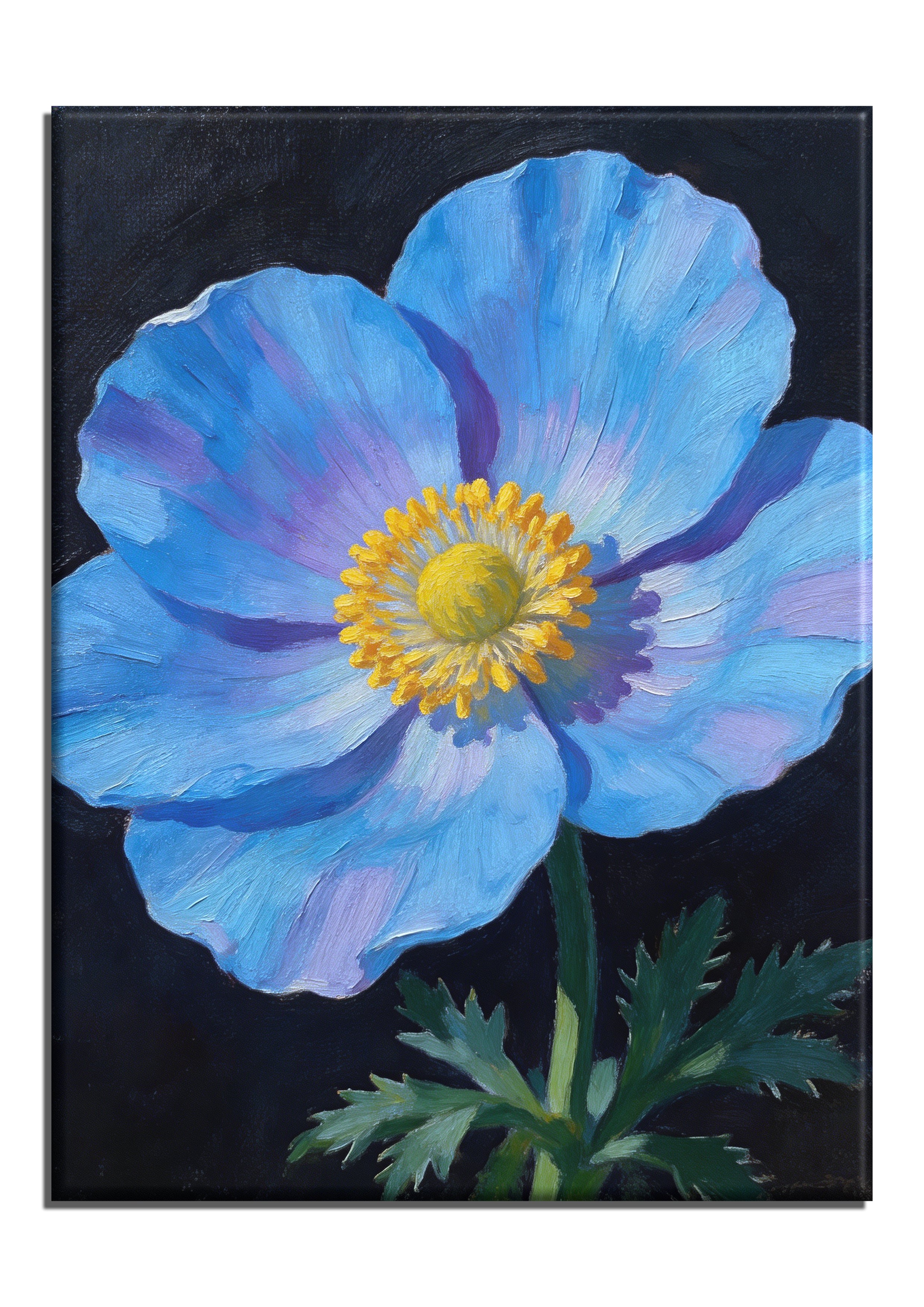 Blue Himalayan Poppy