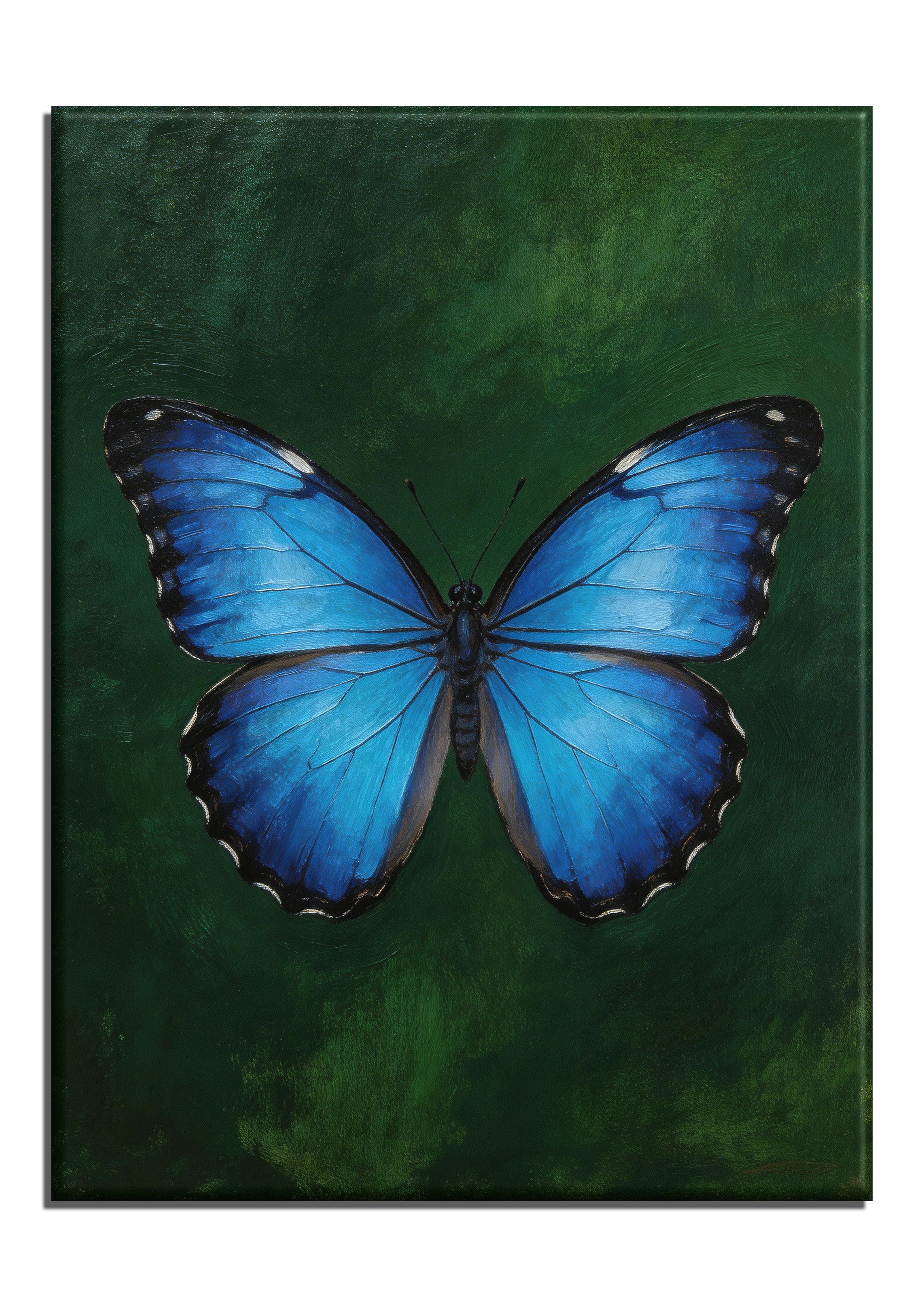 Blue Morpho Butterfly