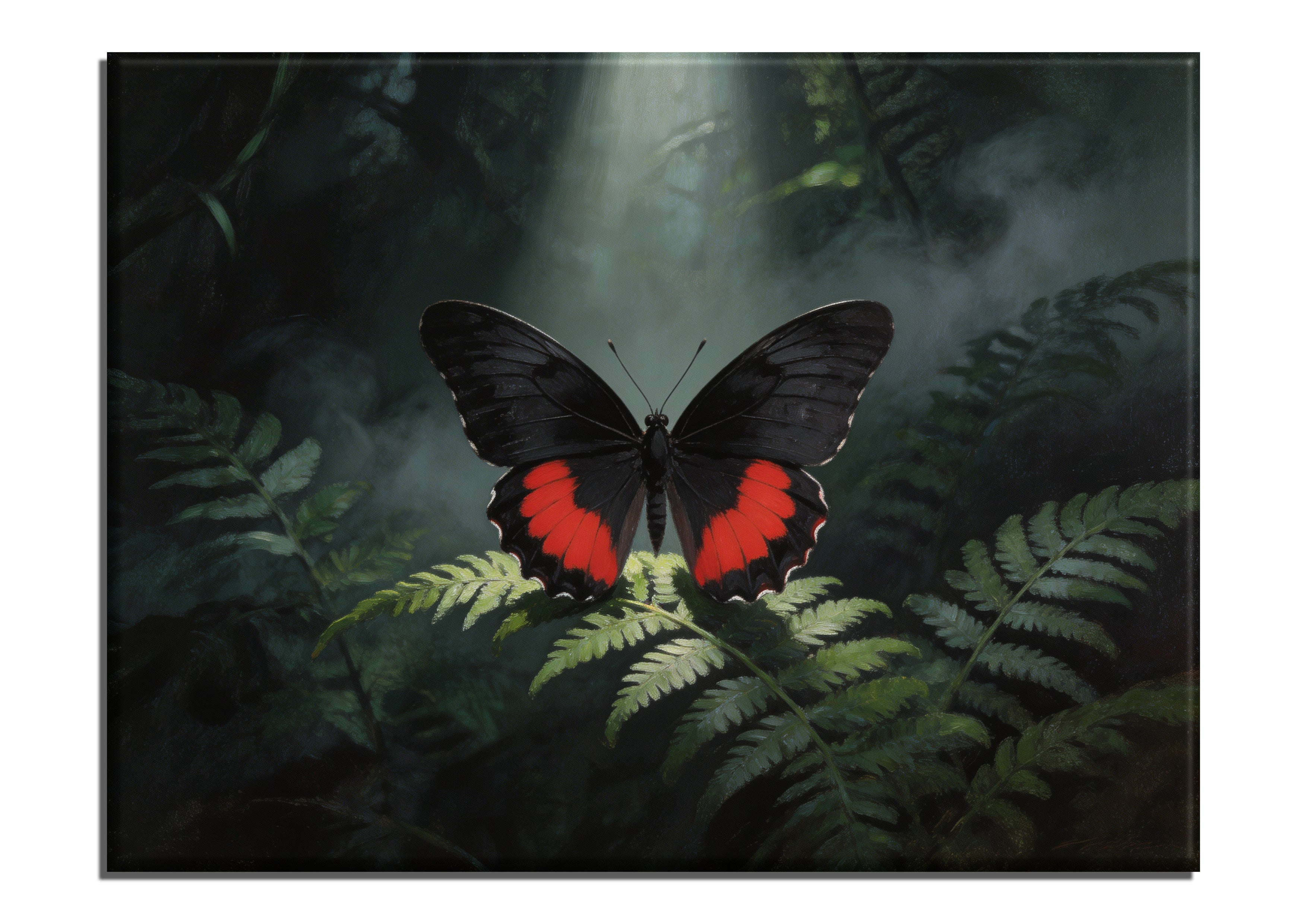 Cattleheart Butterfly