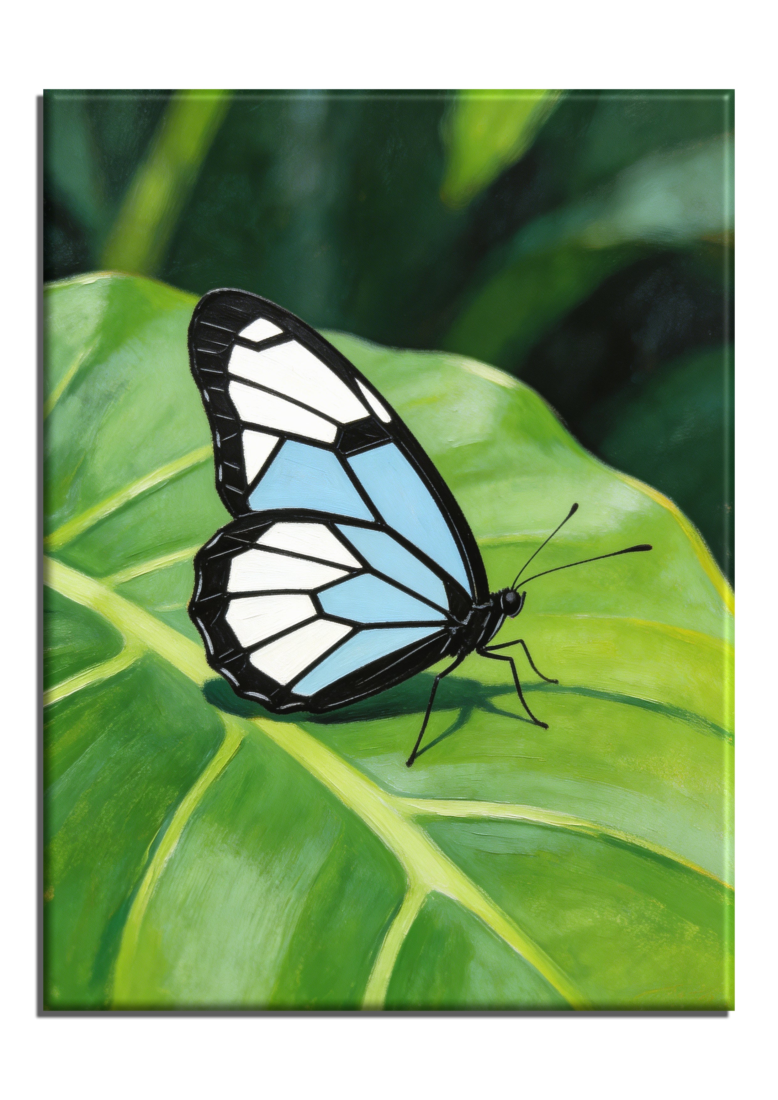 Clipper Butterfly