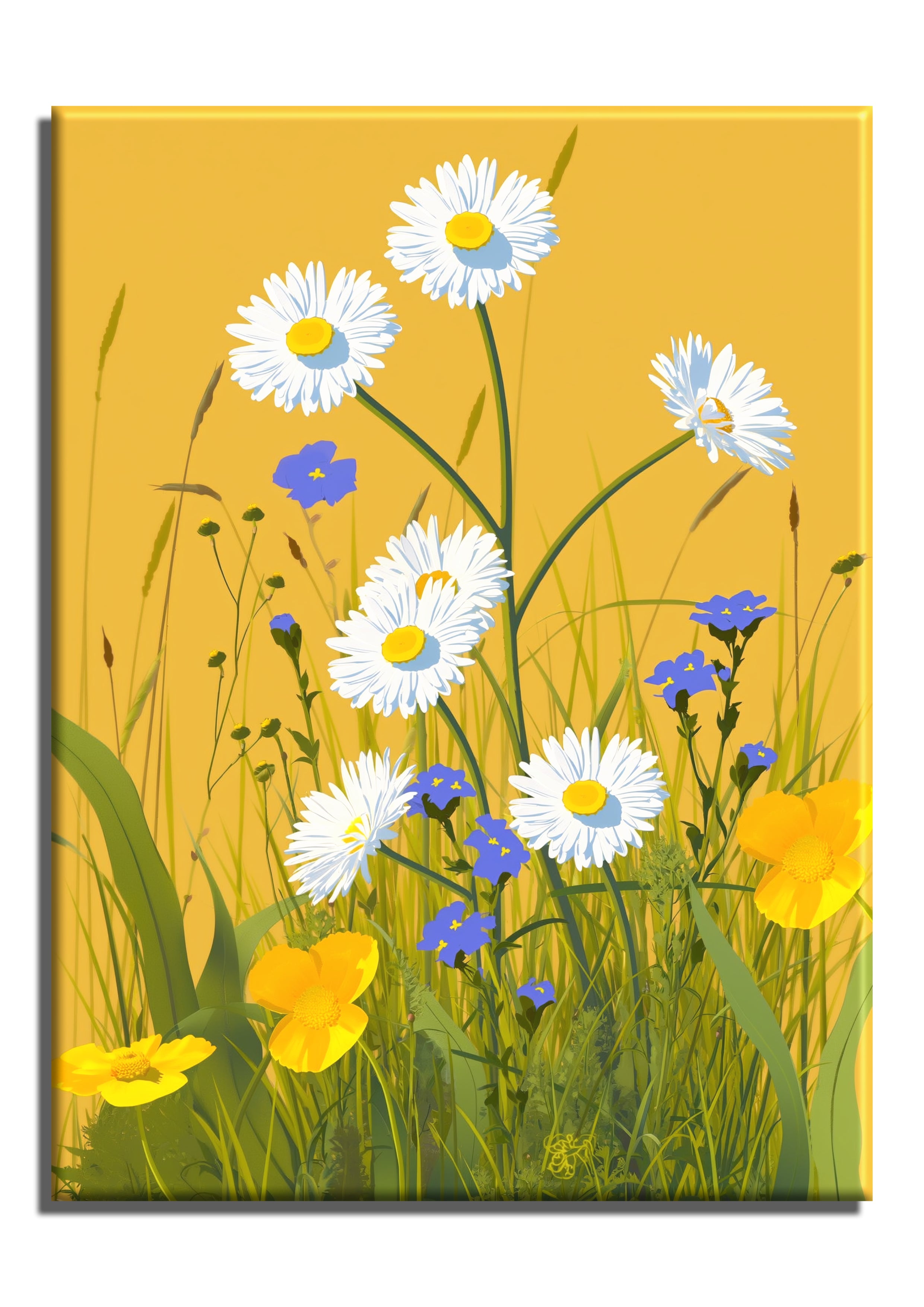 Daises and Wildflowers