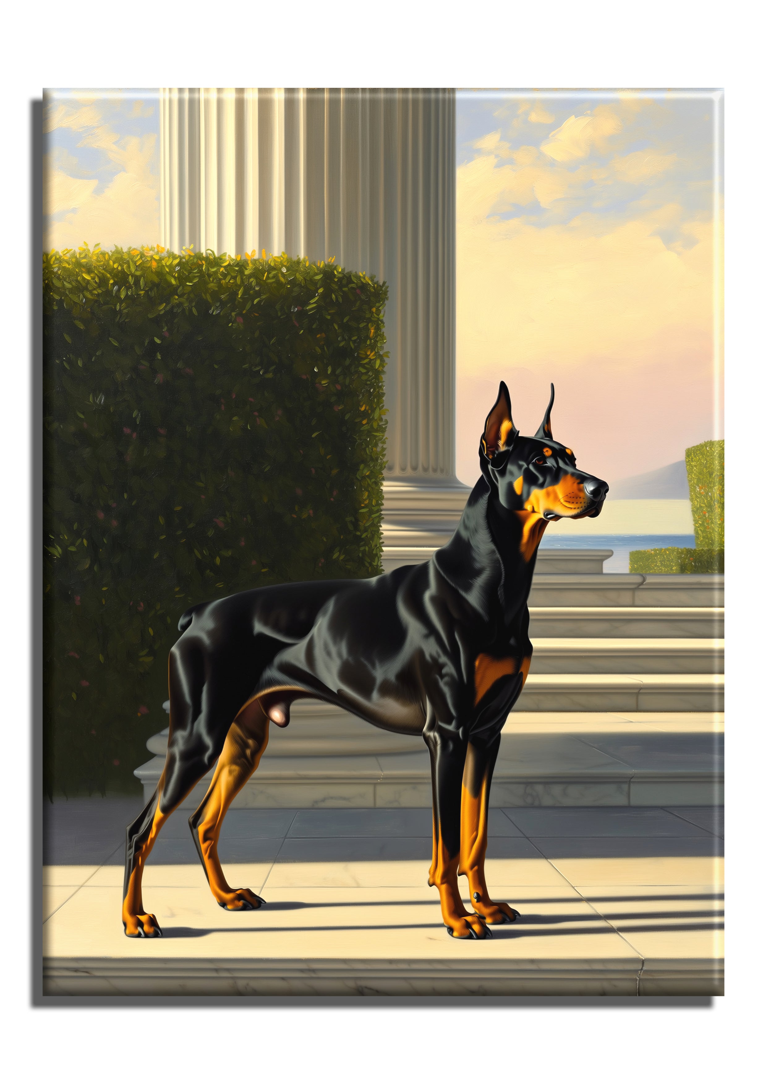 Doberman