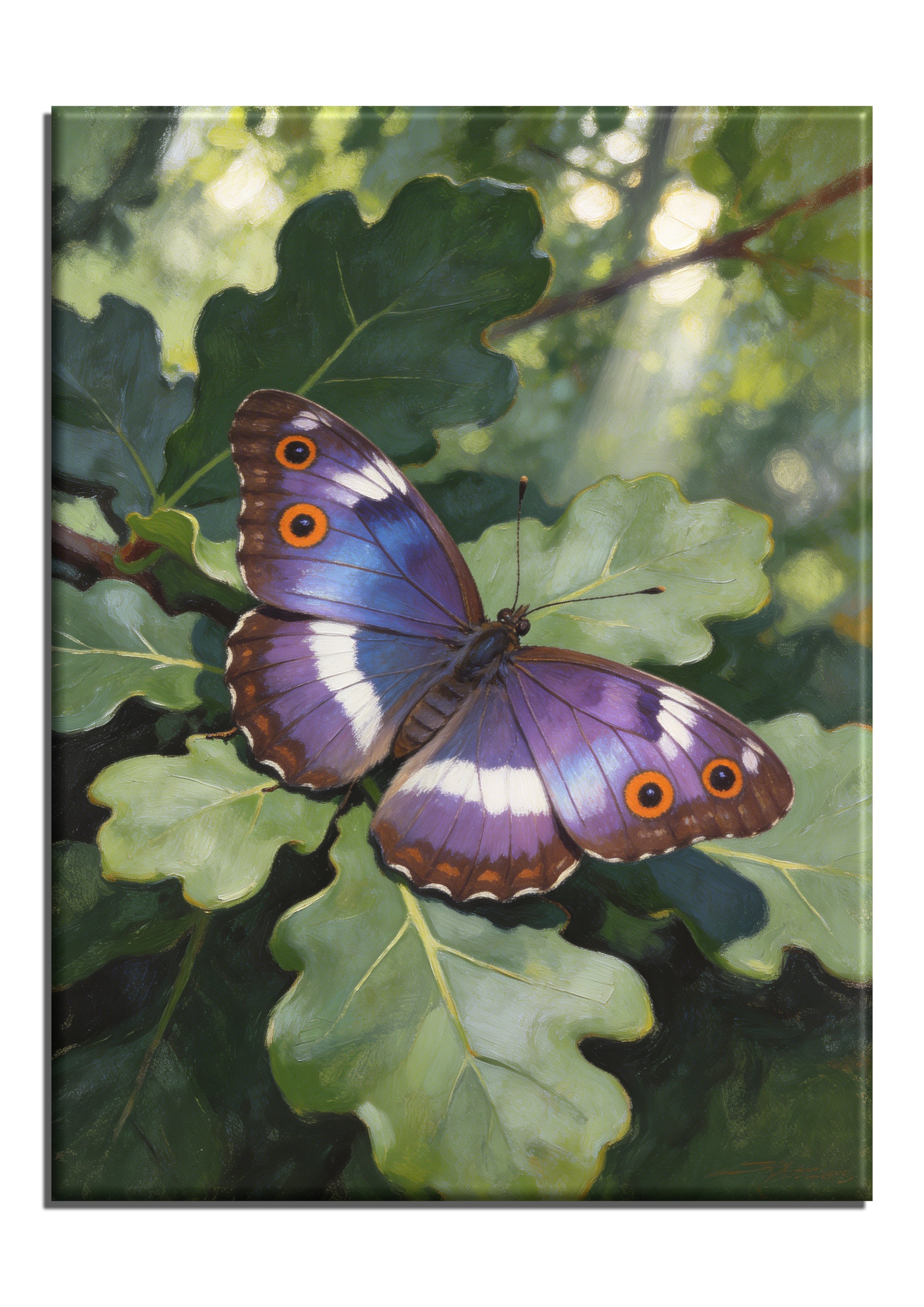 Emperor Butterfly