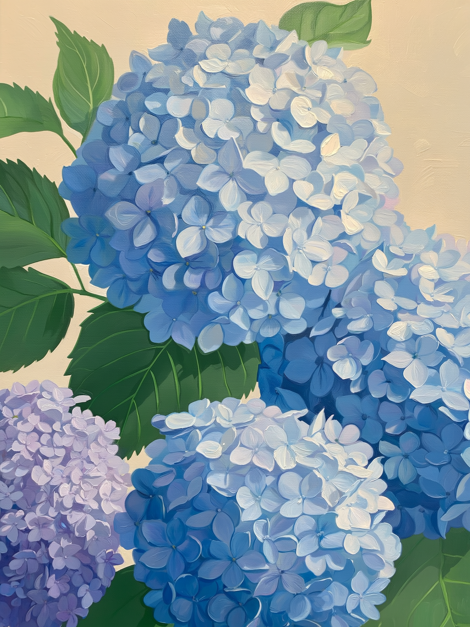 Hydrangea Petals