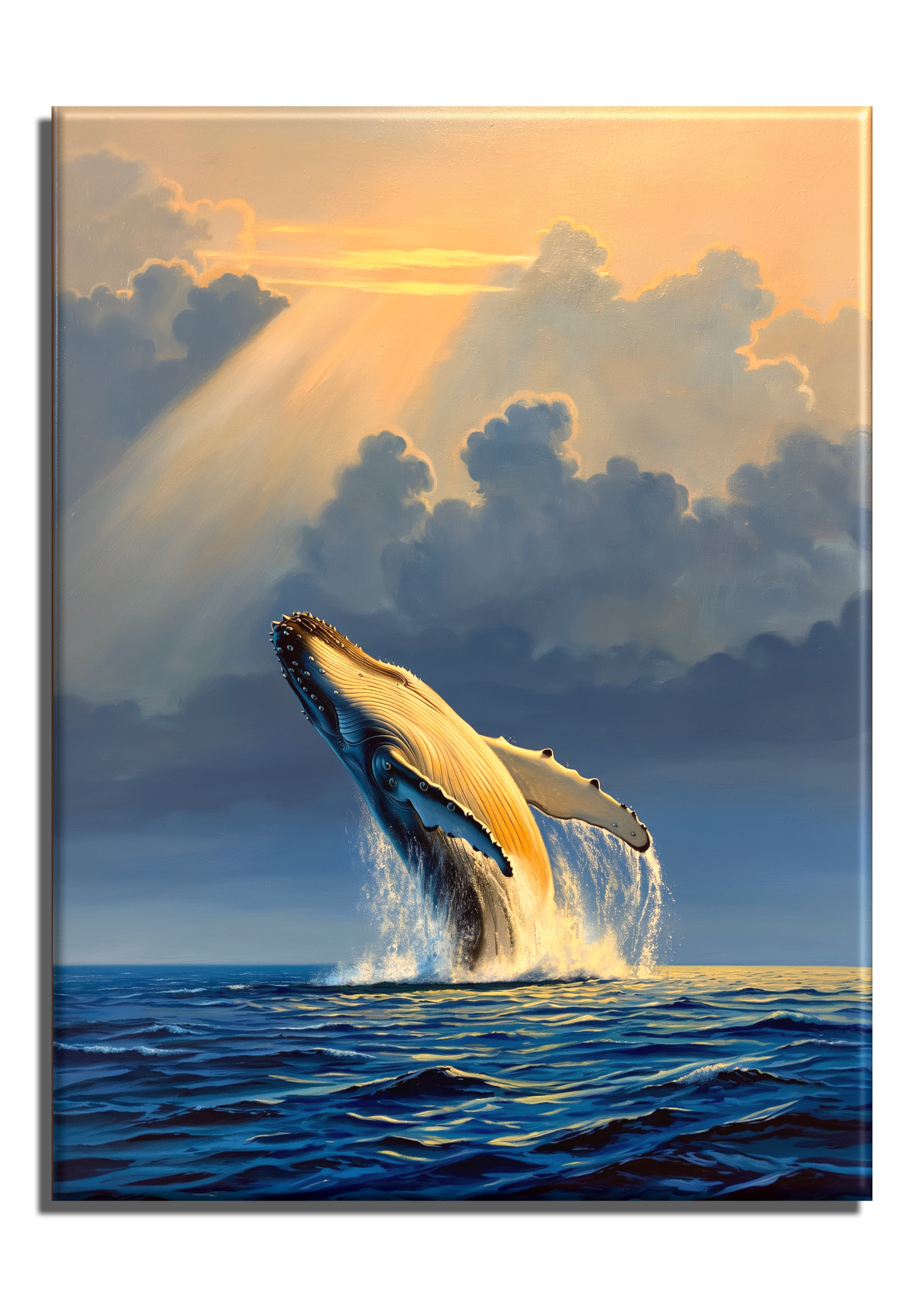 Humpback Whale