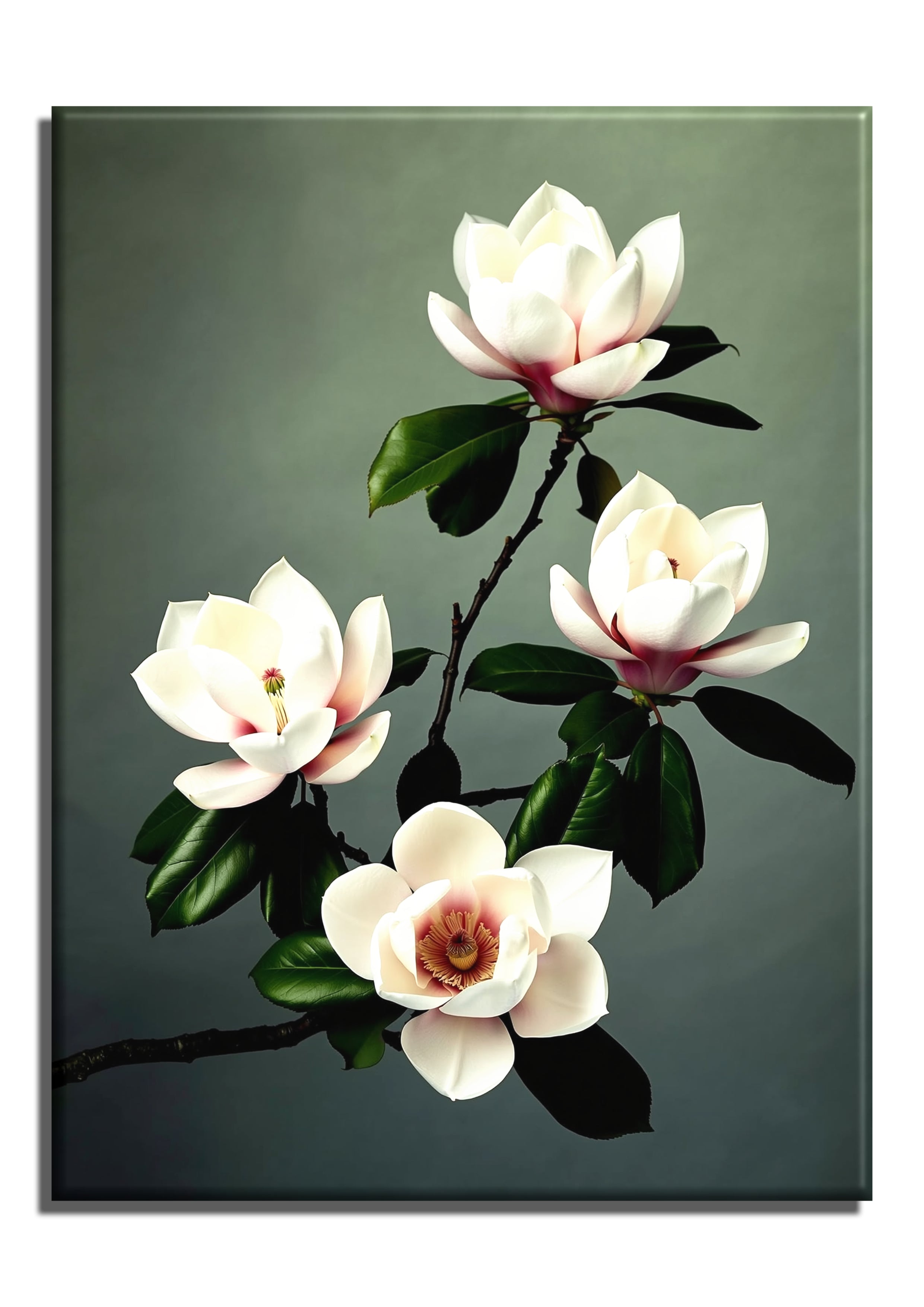 Magnolias