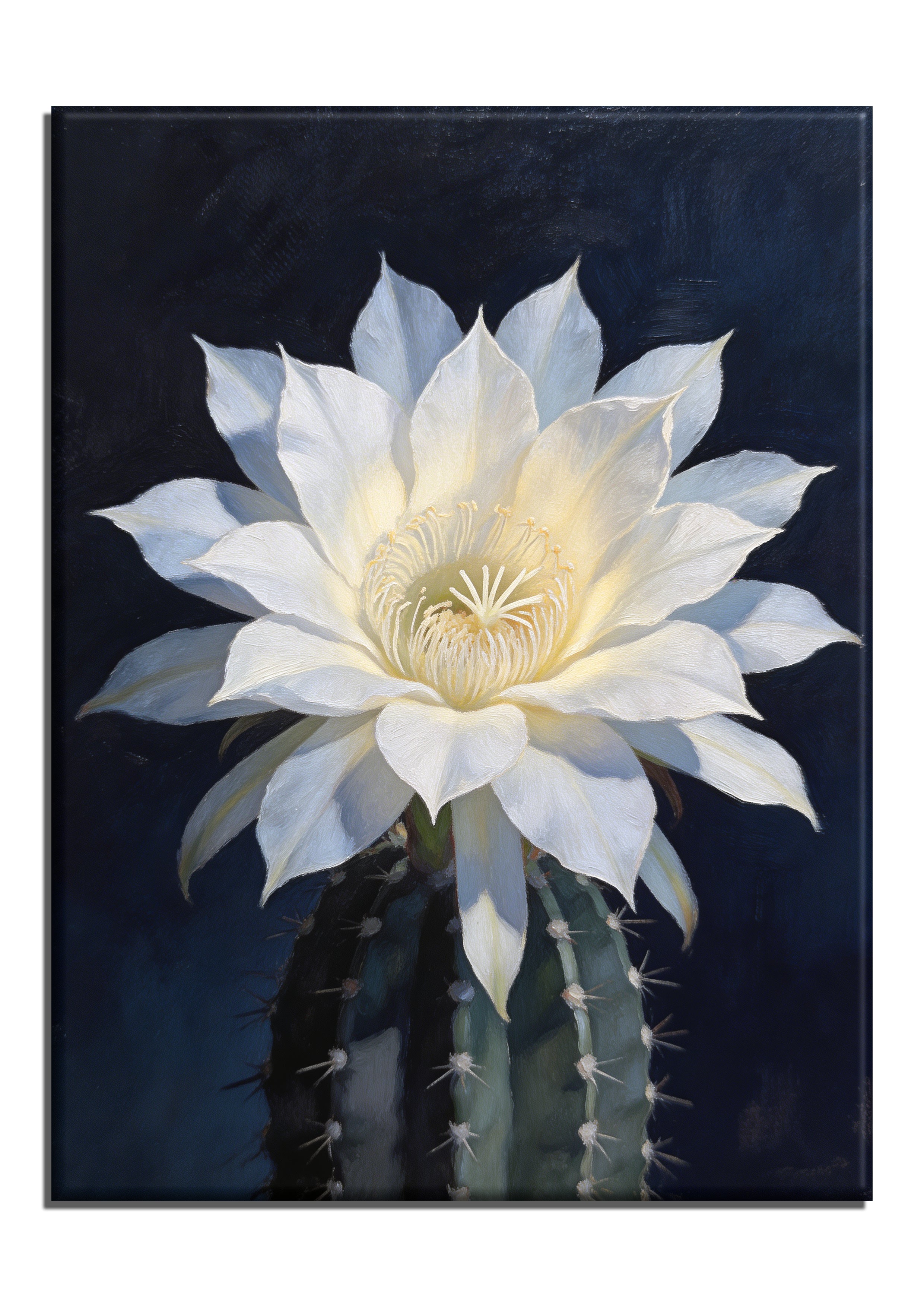 Midnight Cereus