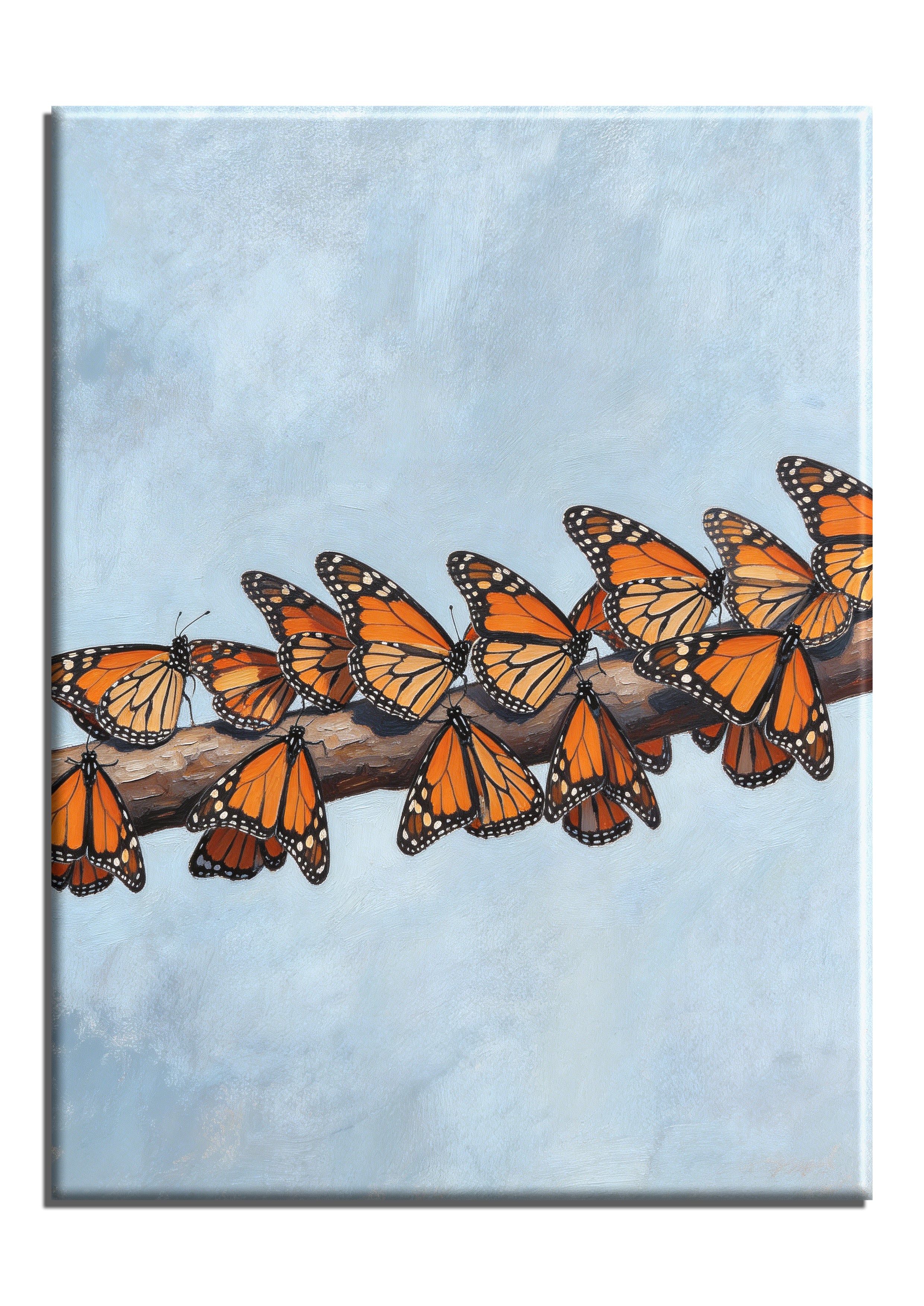 Monarch Butterfly
