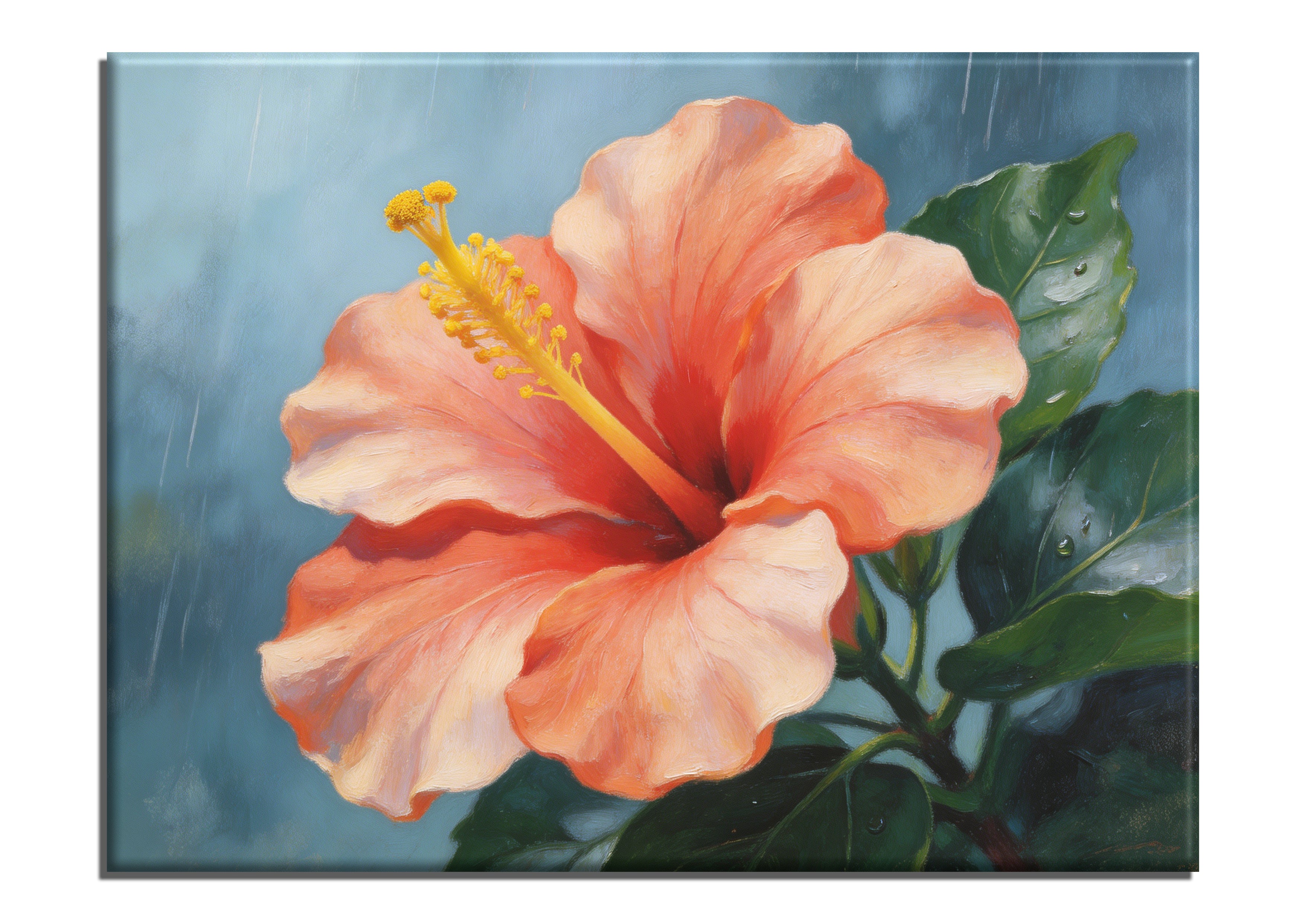 Rainy Hibiscus