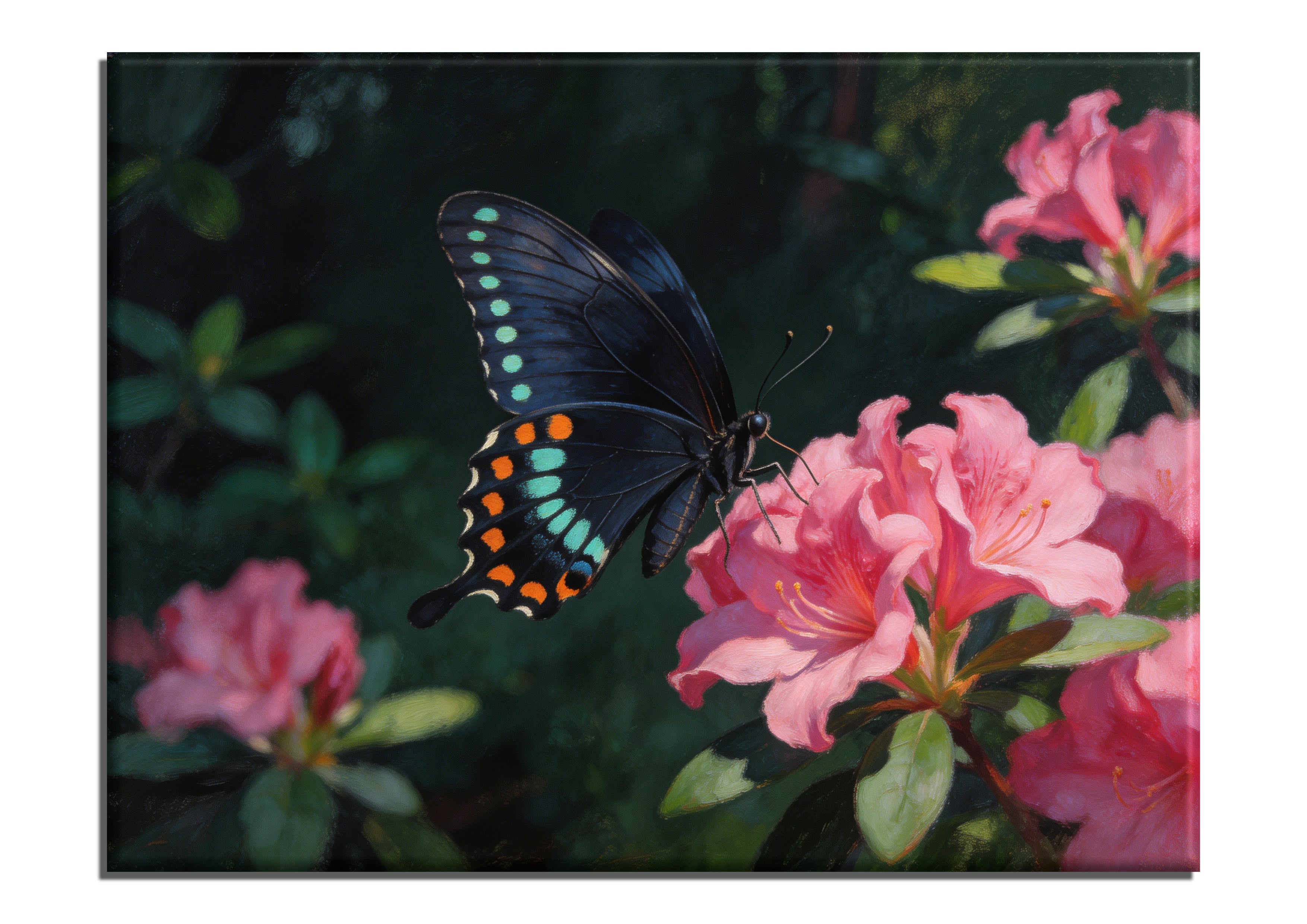 Spicebush Swallowtail