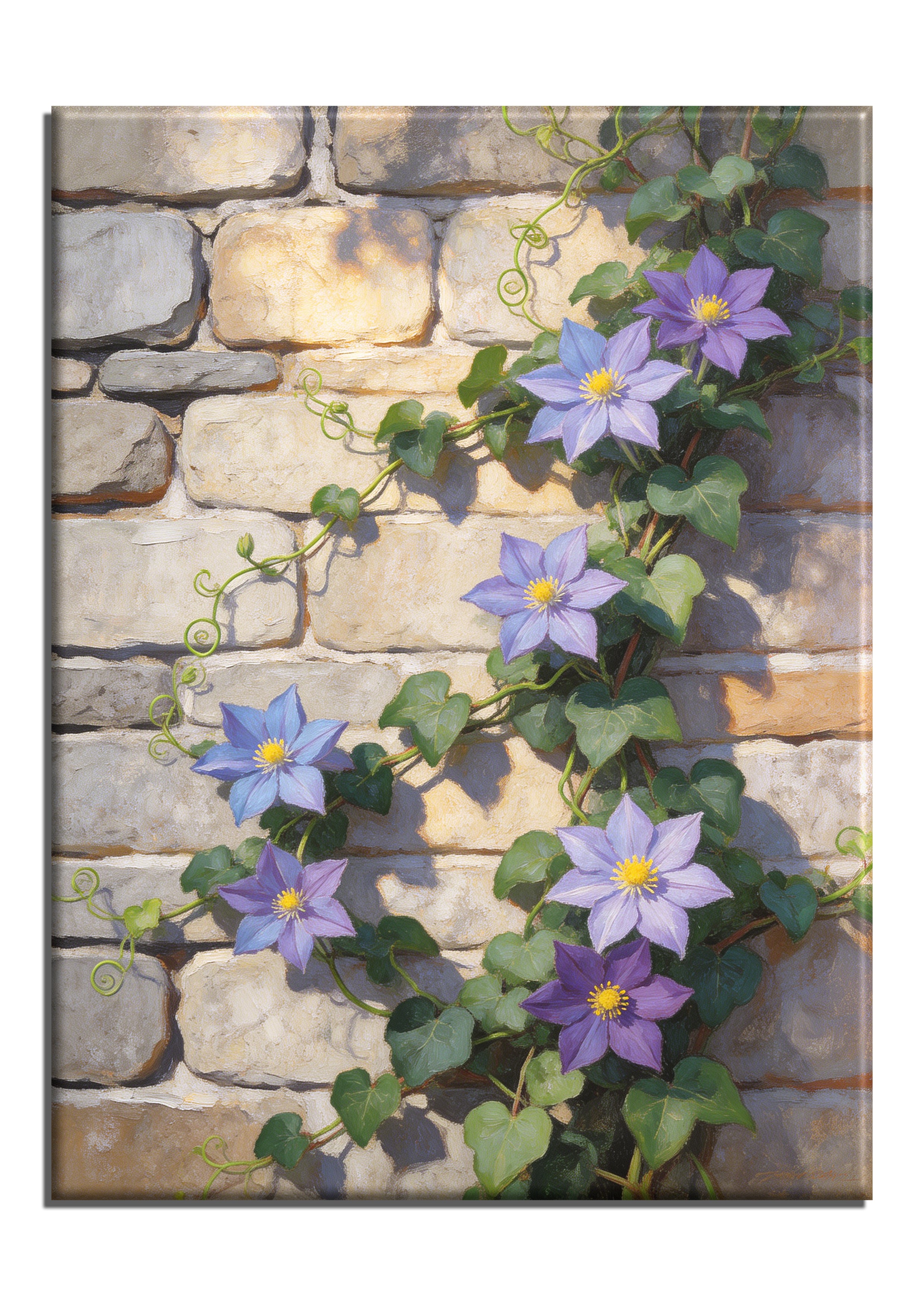 Stone Wall Clematis Vines