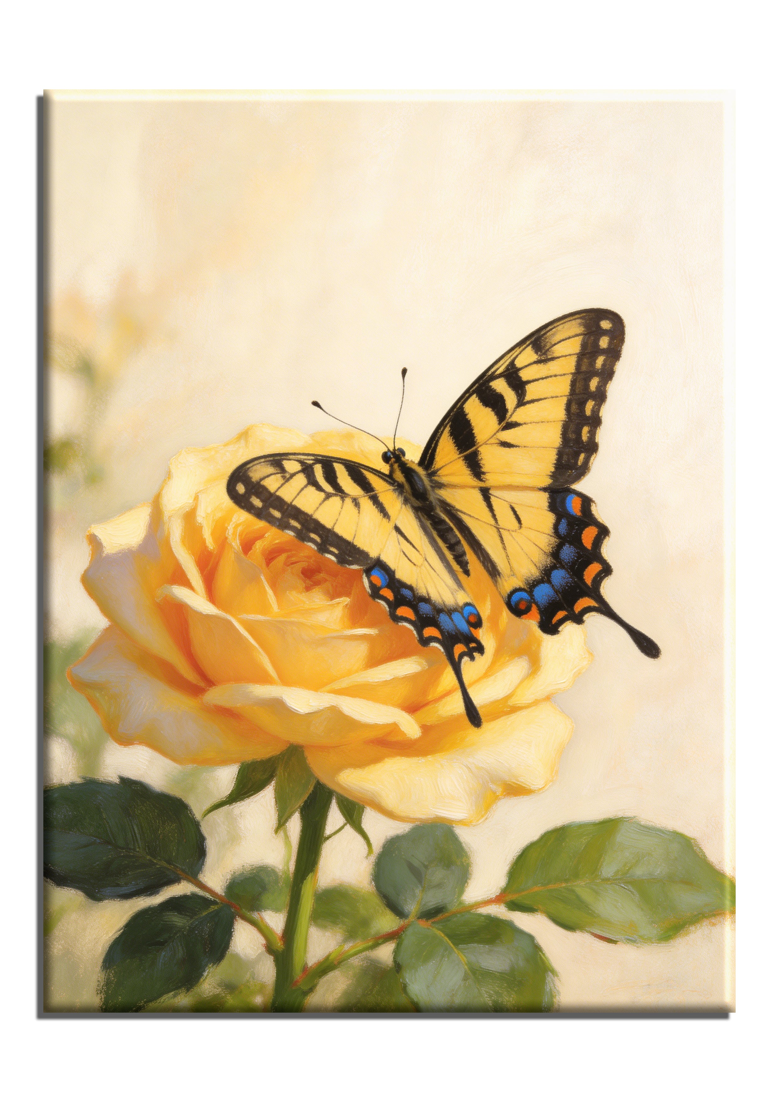 Tiger Swallowtail Butterfly