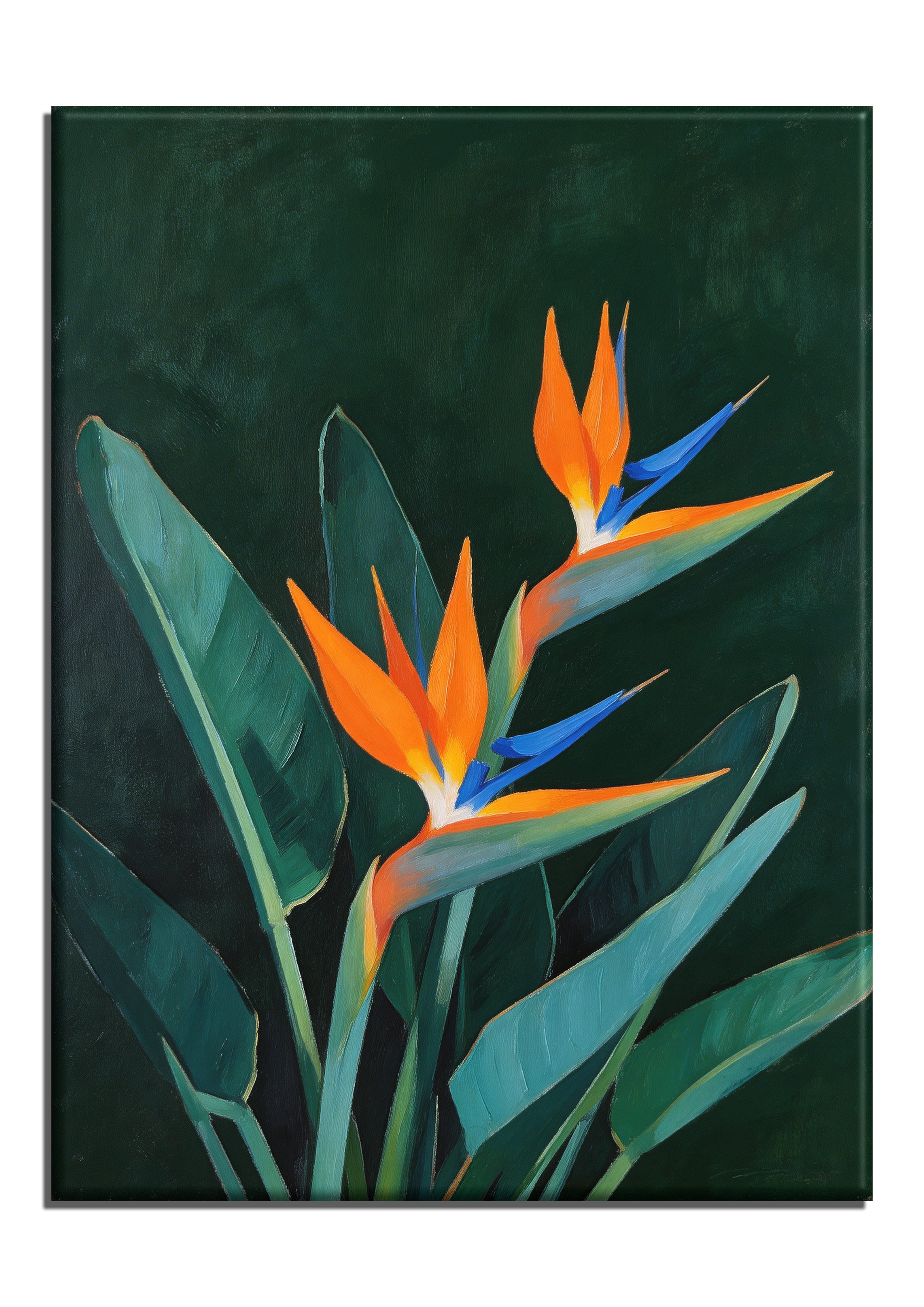 Two Birds of Paradise