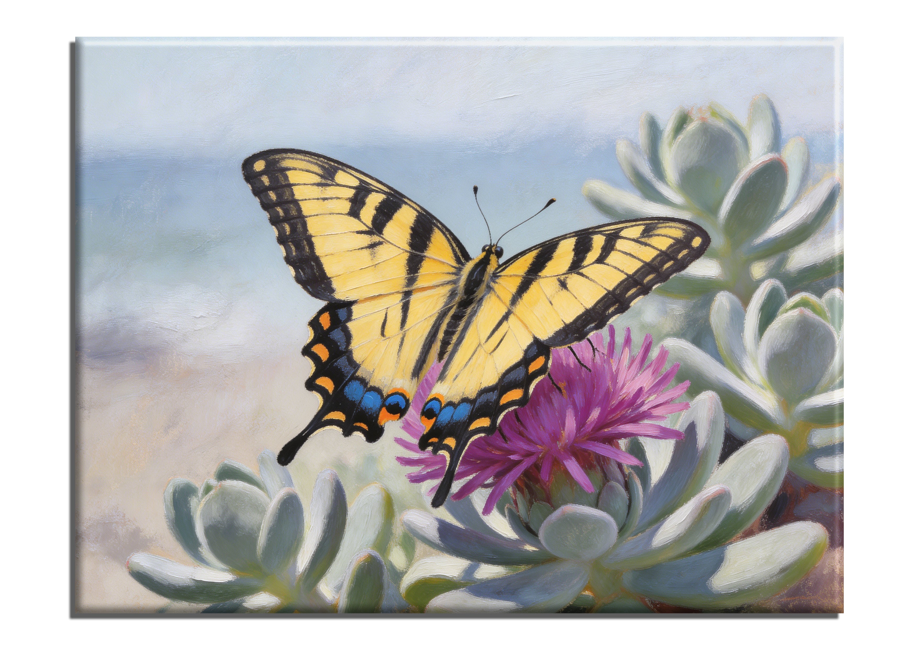 Western Tiger Swallowtail