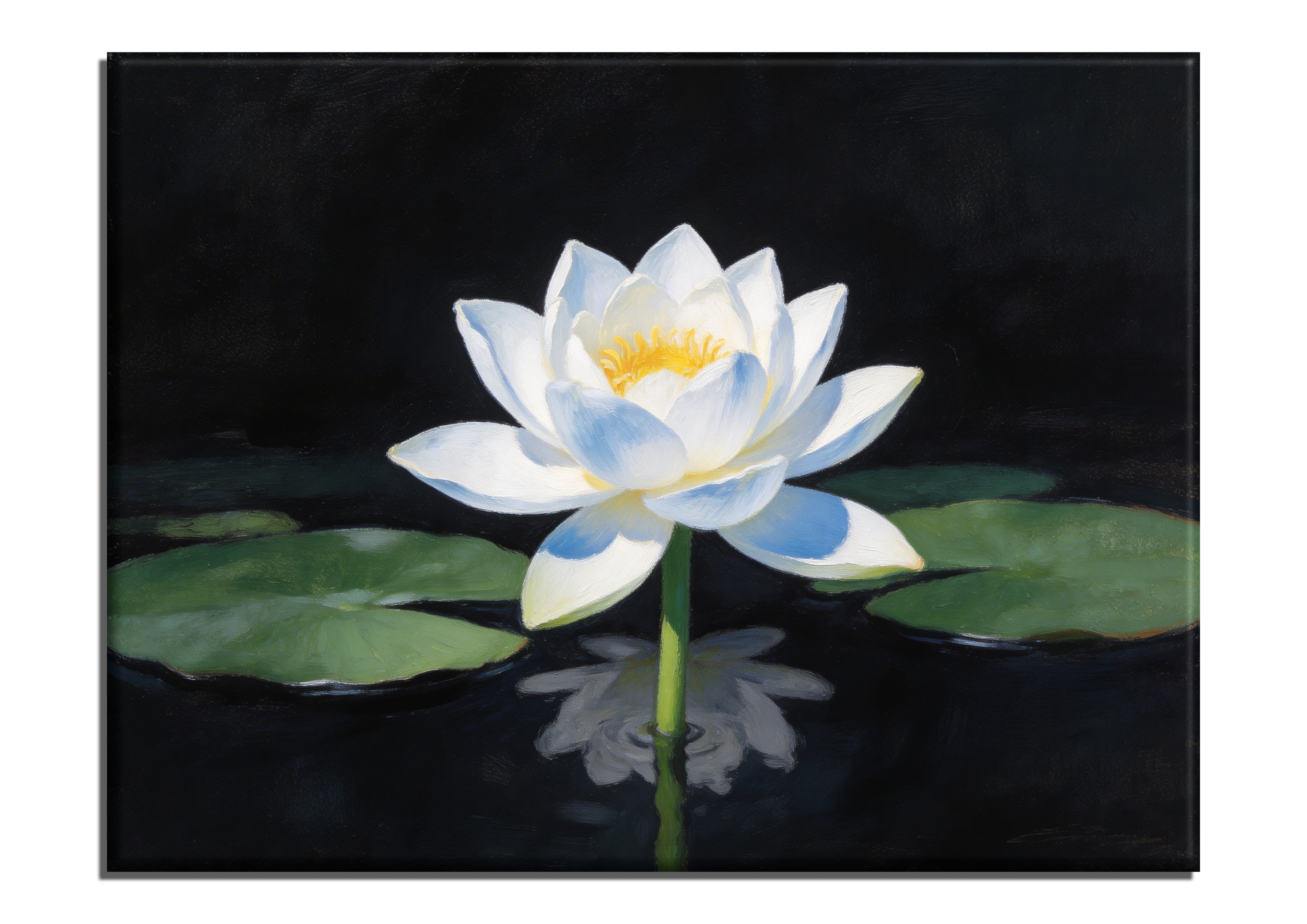 White Lotus