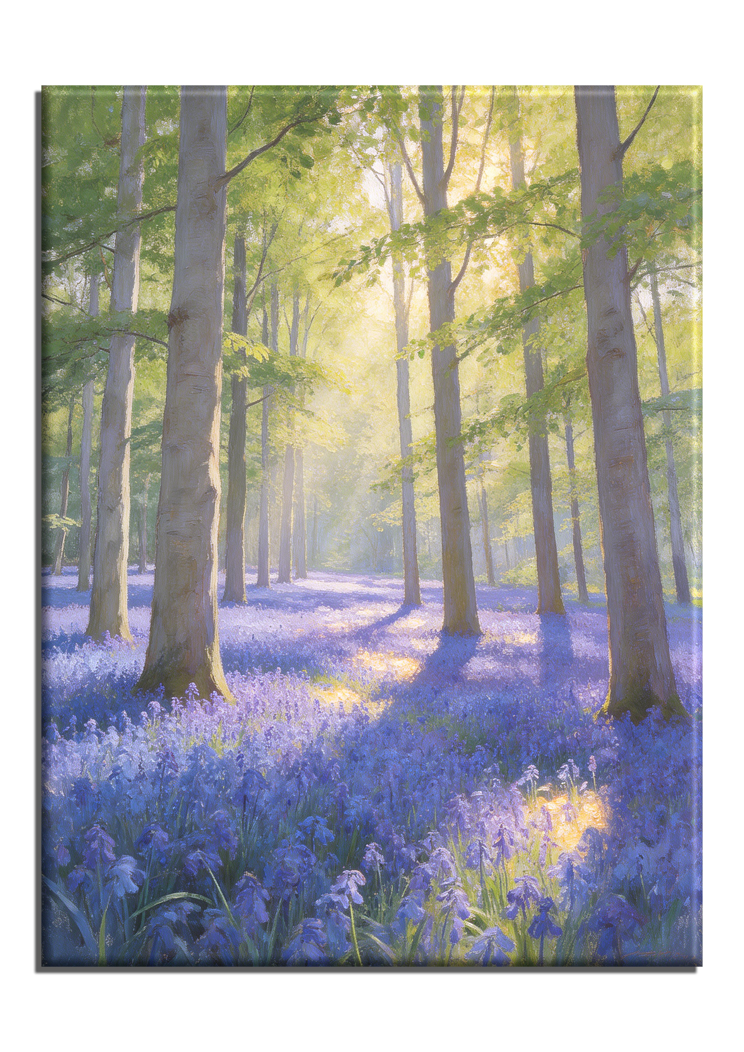 Woodland Bluebells