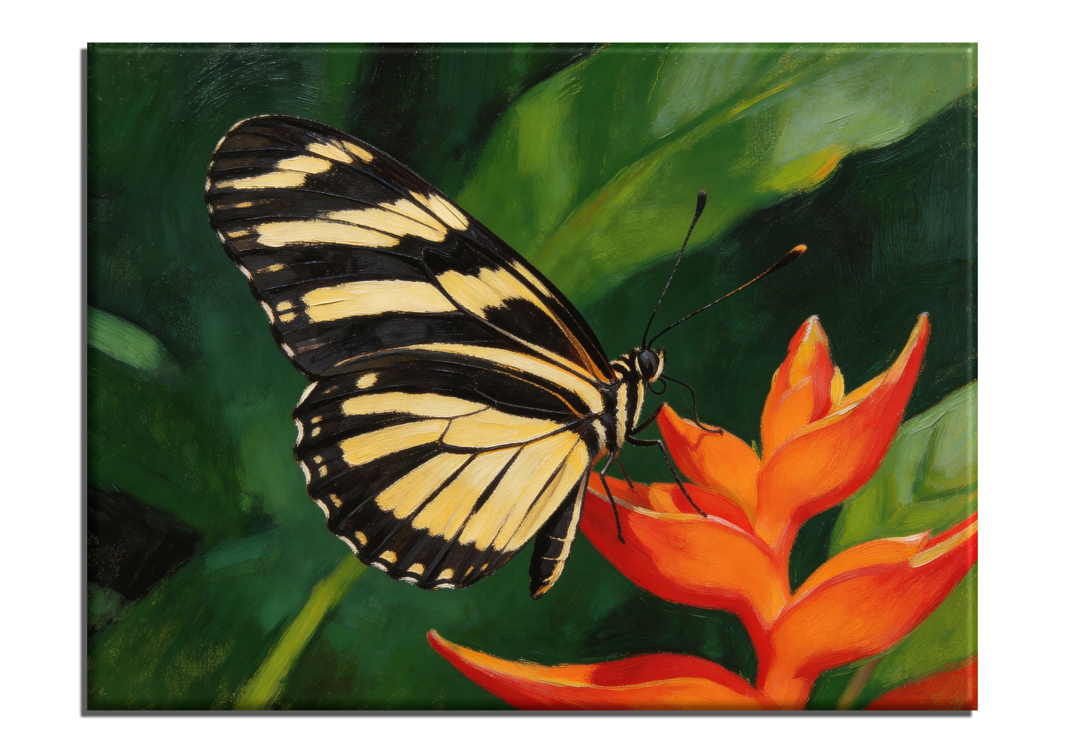 Zebra Longwing Butterfly