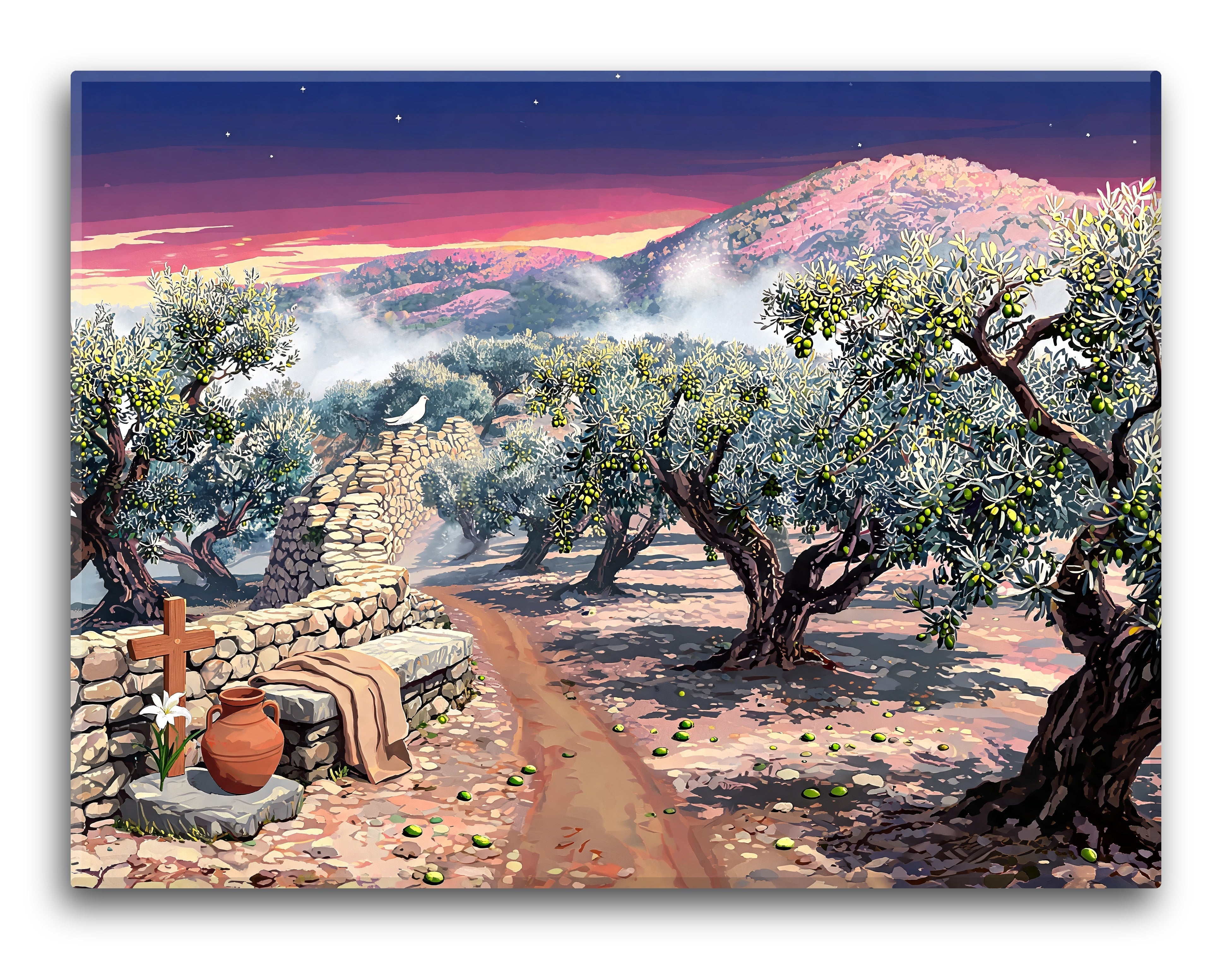 Ancient Olive Grove