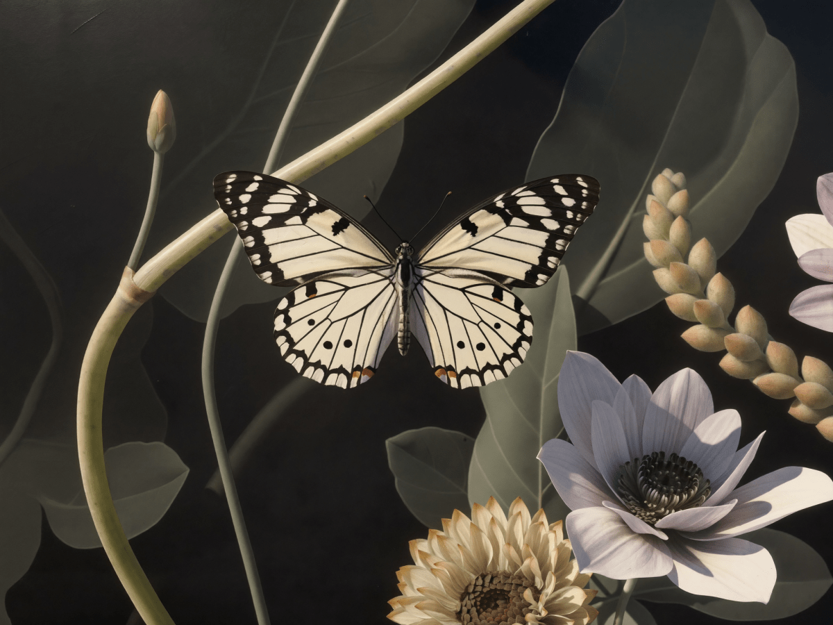 Charcoal Butterfly - Escape by Numbers