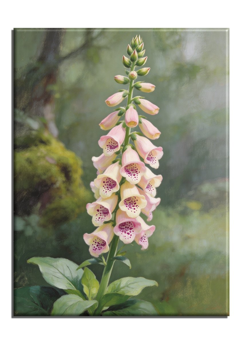 Foxglove - Escape by Numbers