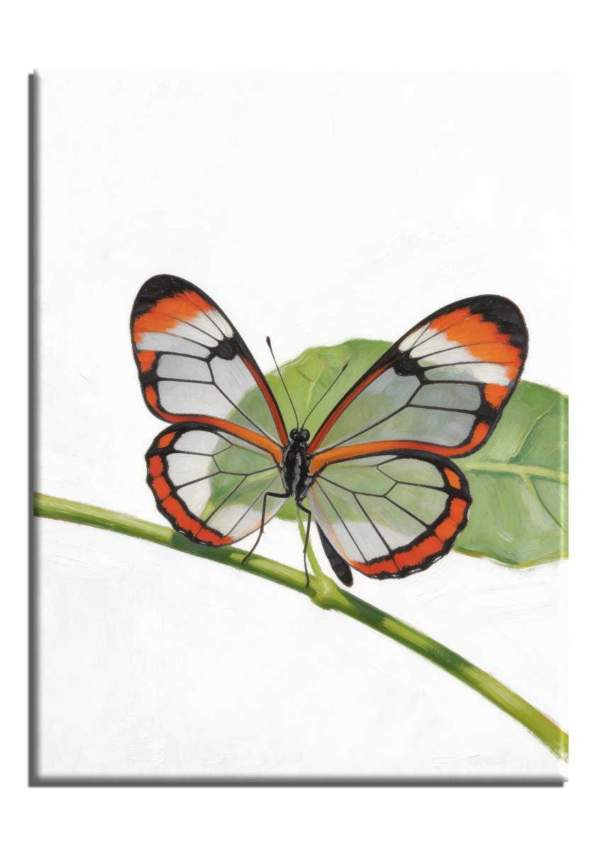 Glasswing Butterfly - Escape by Numbers
