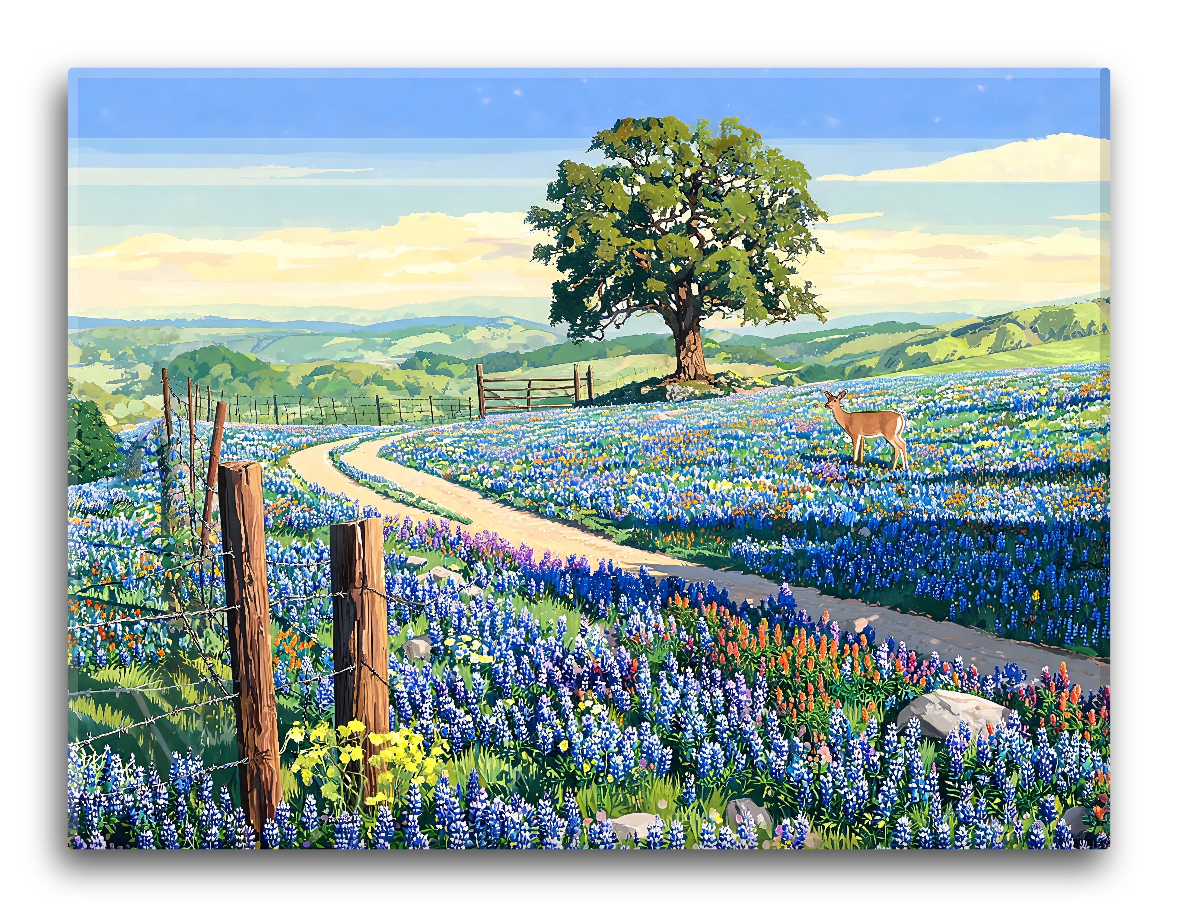 Hill Country Spring