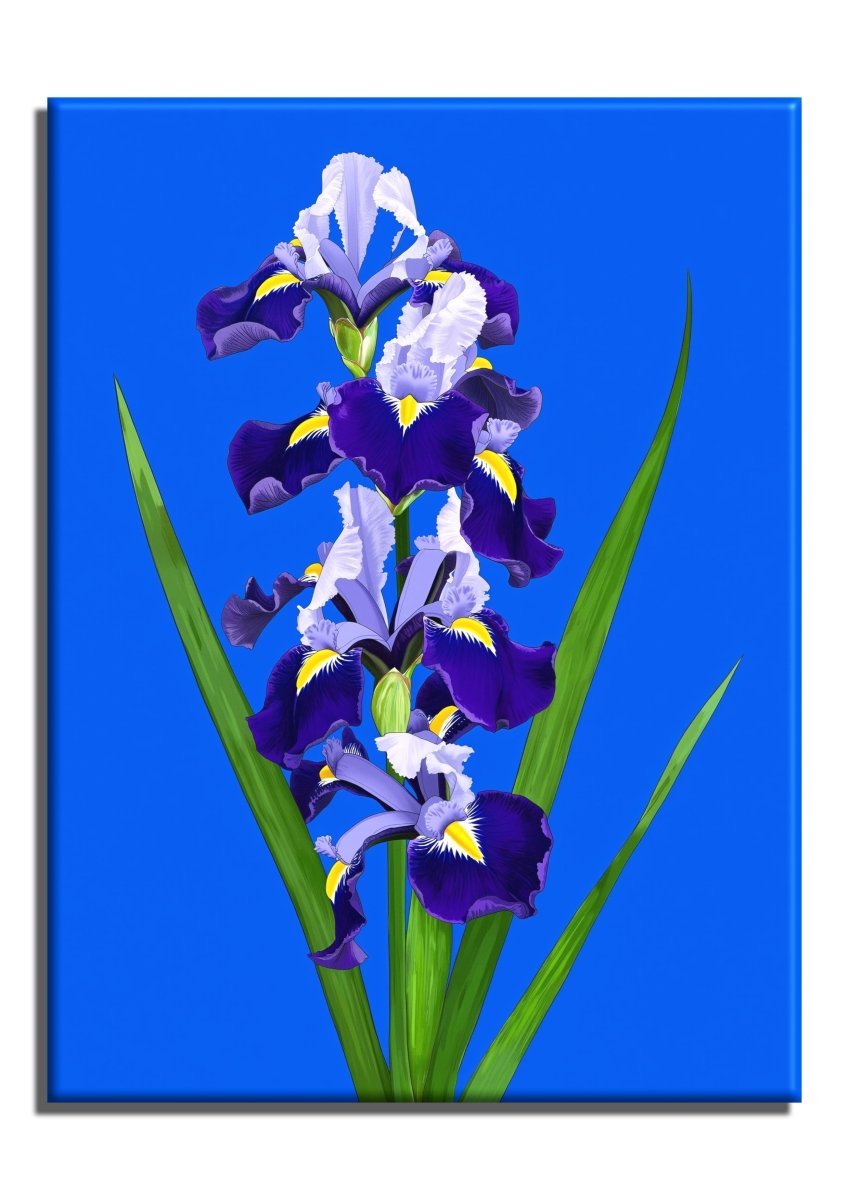 Irises - Escape by Numbers