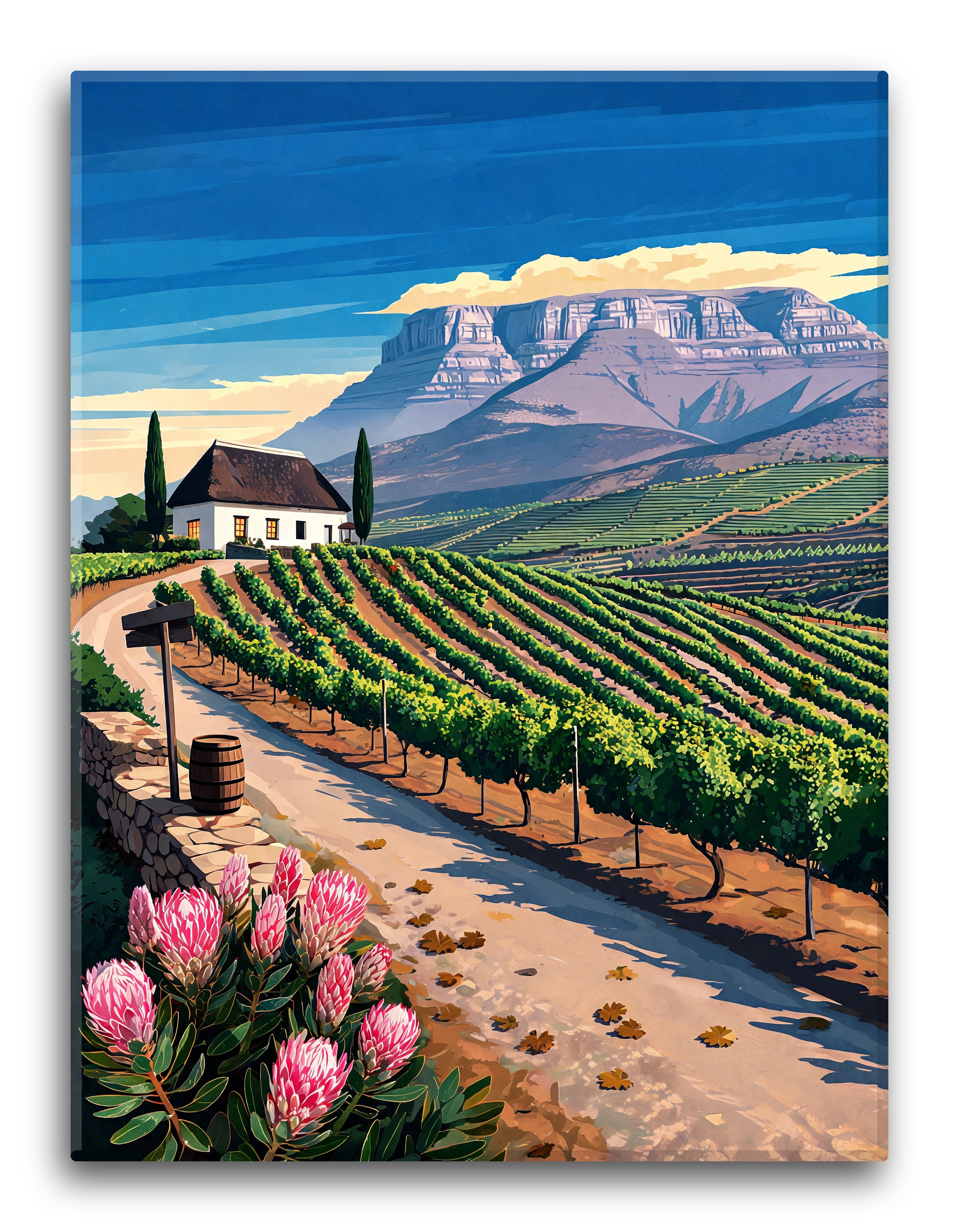 Vineyard Mountain Cape