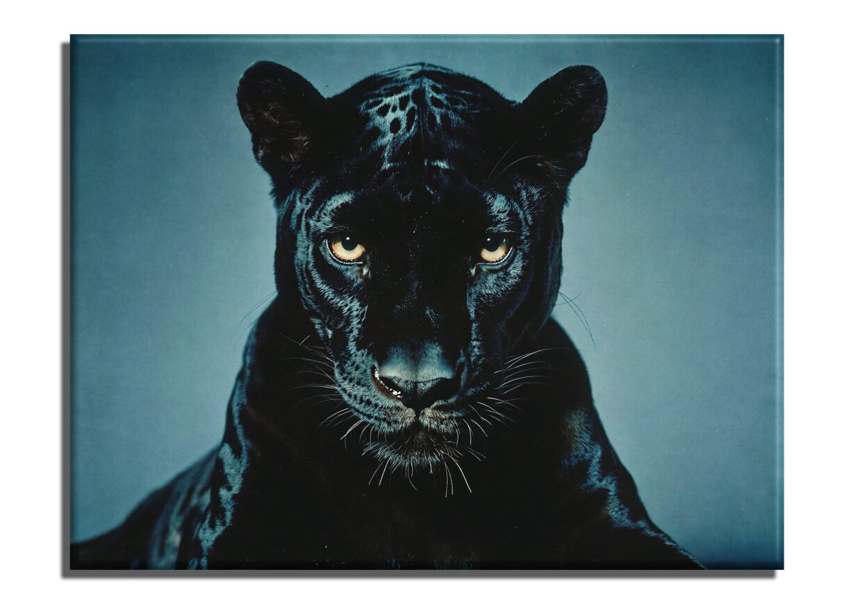 Y2K Black Panther - Escape by Numbers