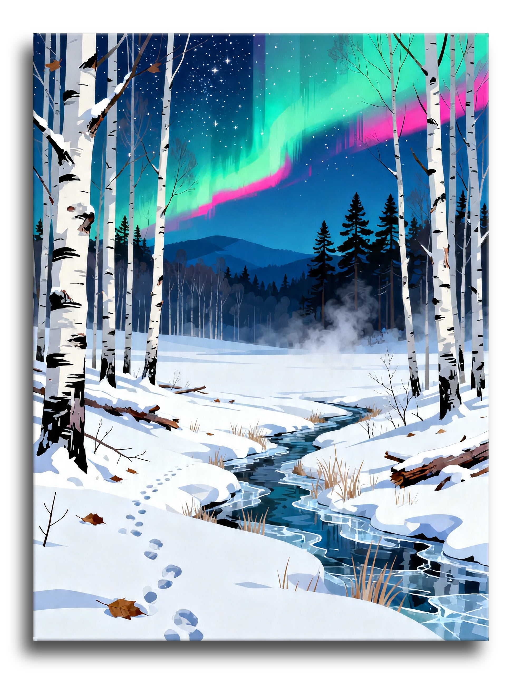 Birch Stream Aurora framed preview