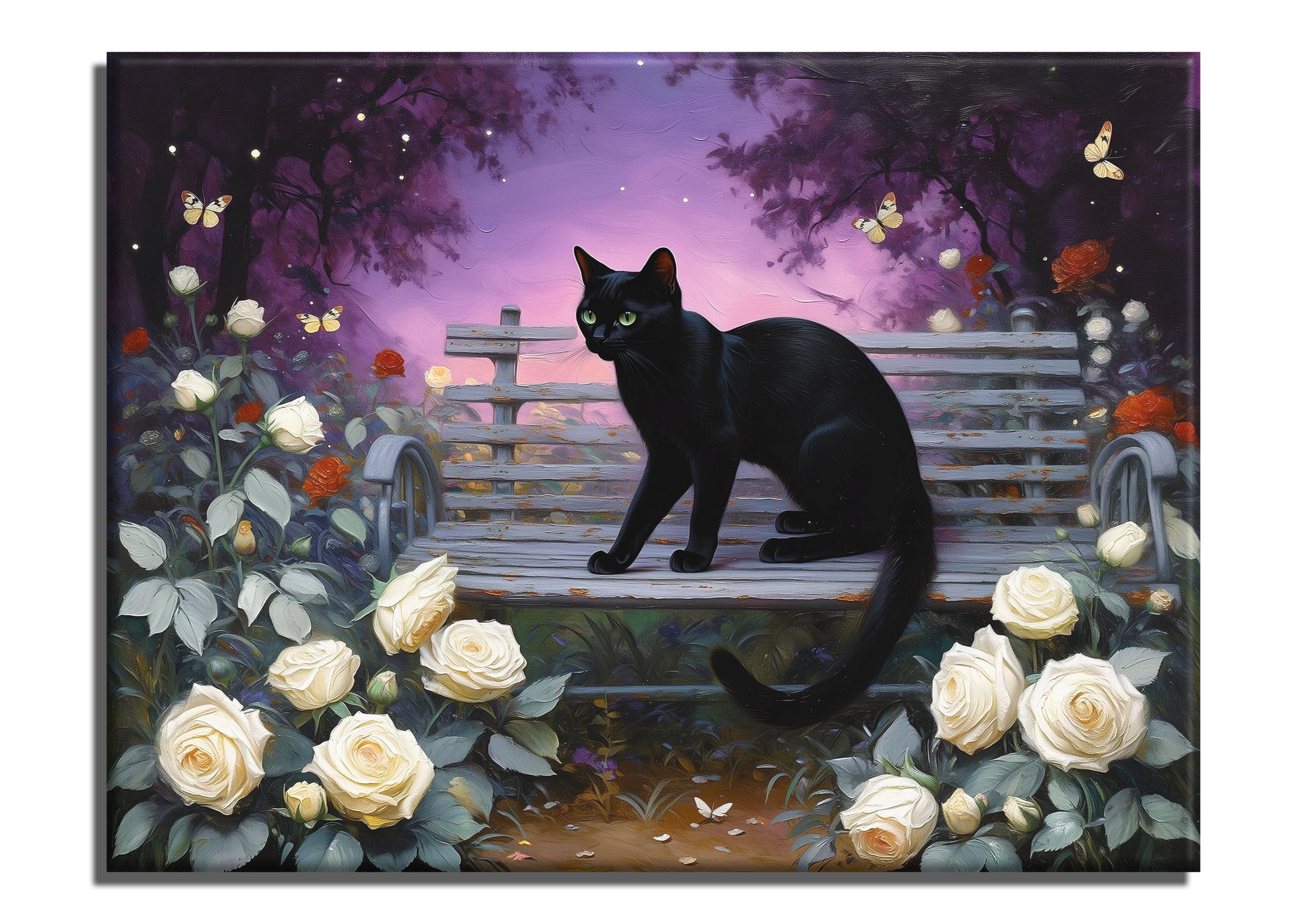 Black Cat