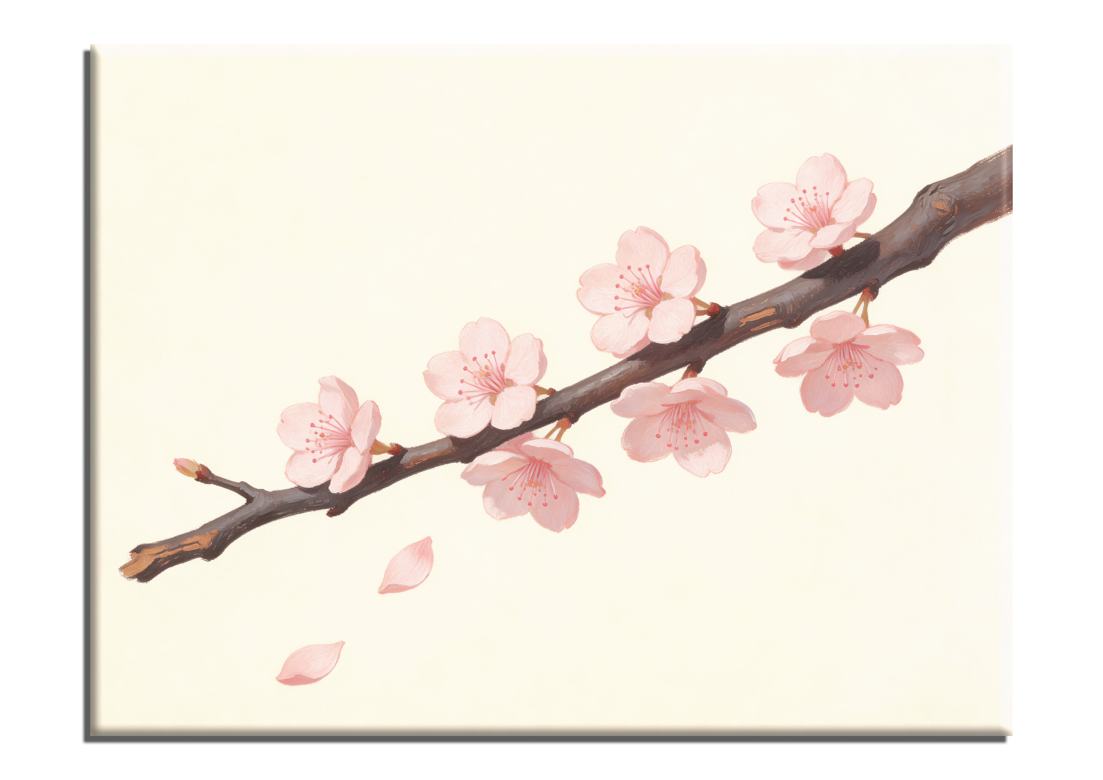 Cherry Blossom Branch