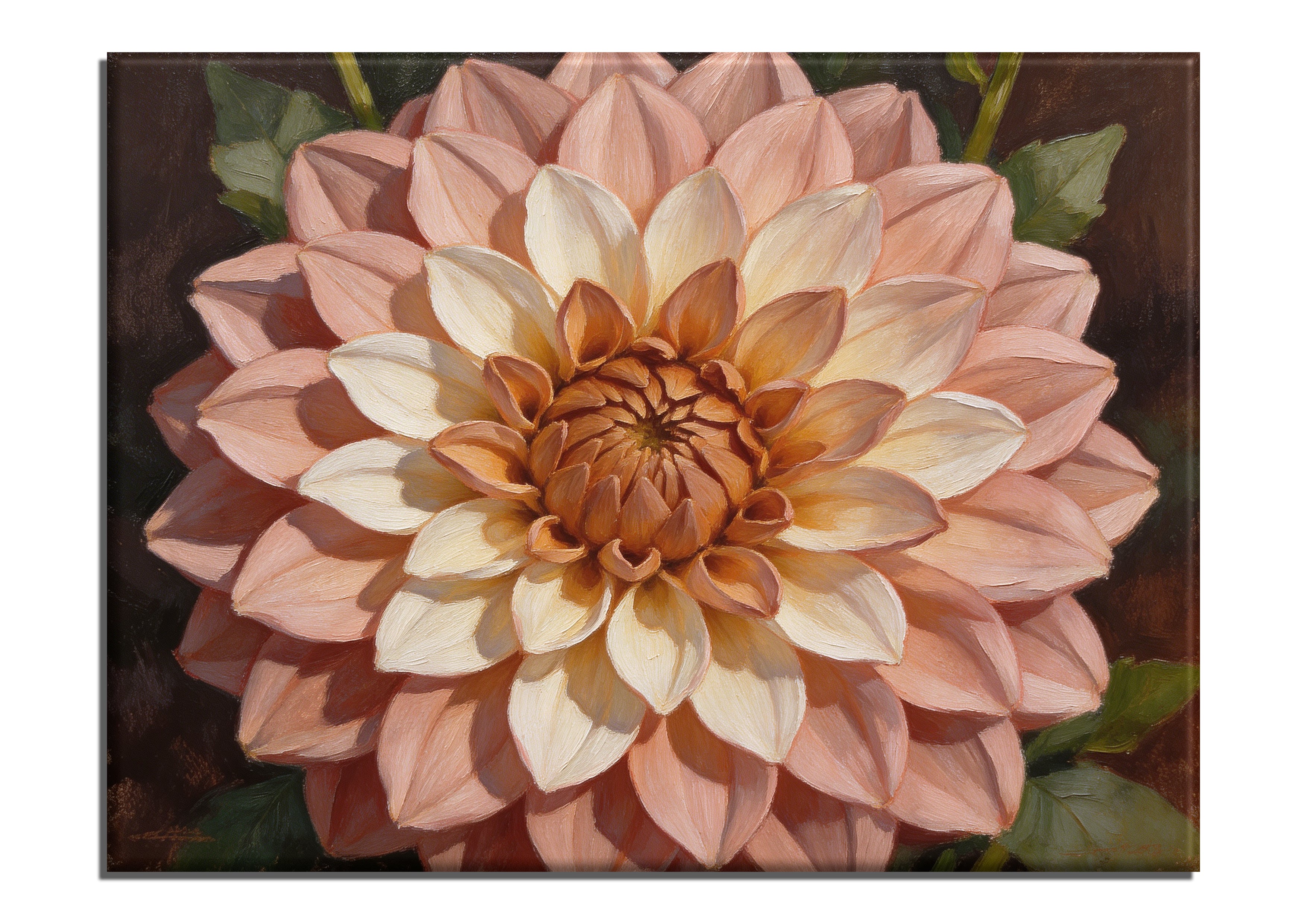 Dinner Plate Dahlia