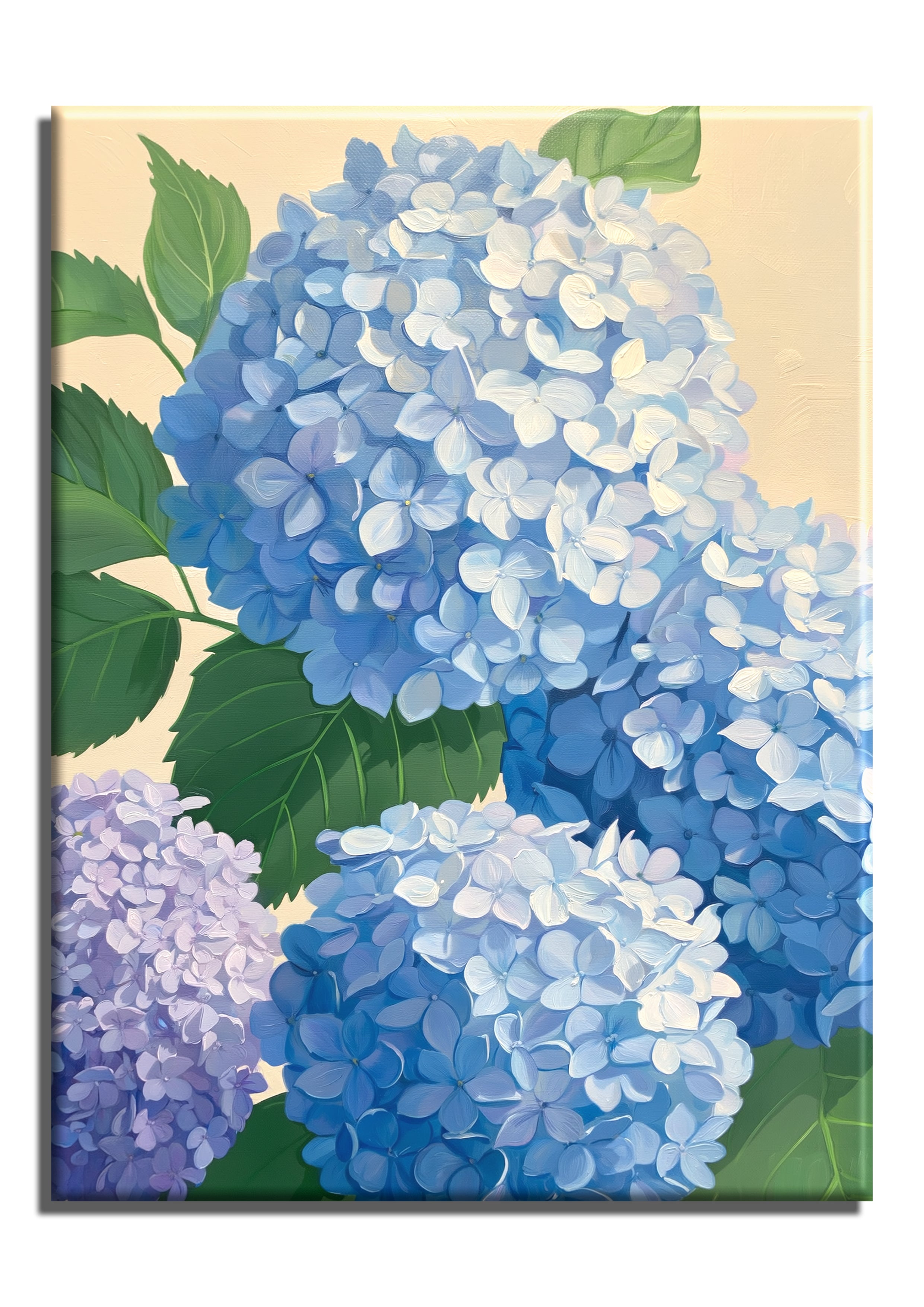 Hydrangea Petals