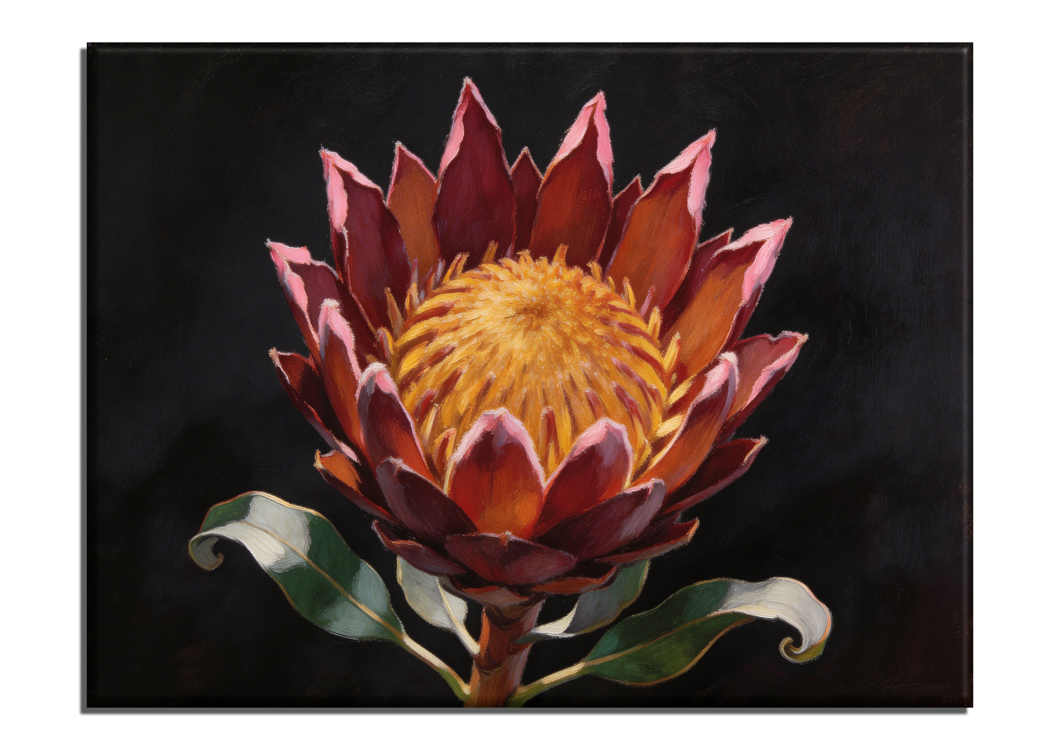 King Protea