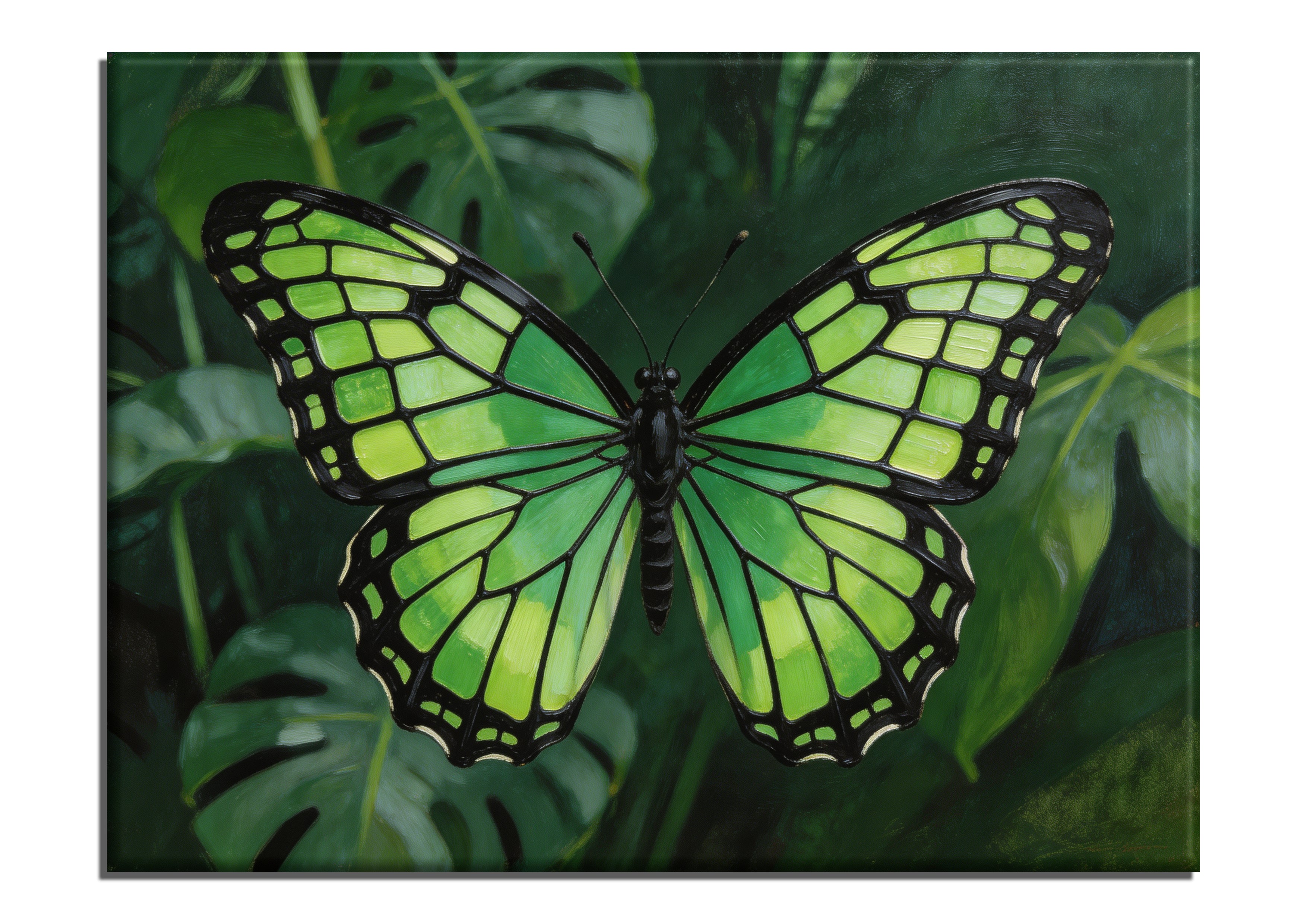 Malachite Butterfly
