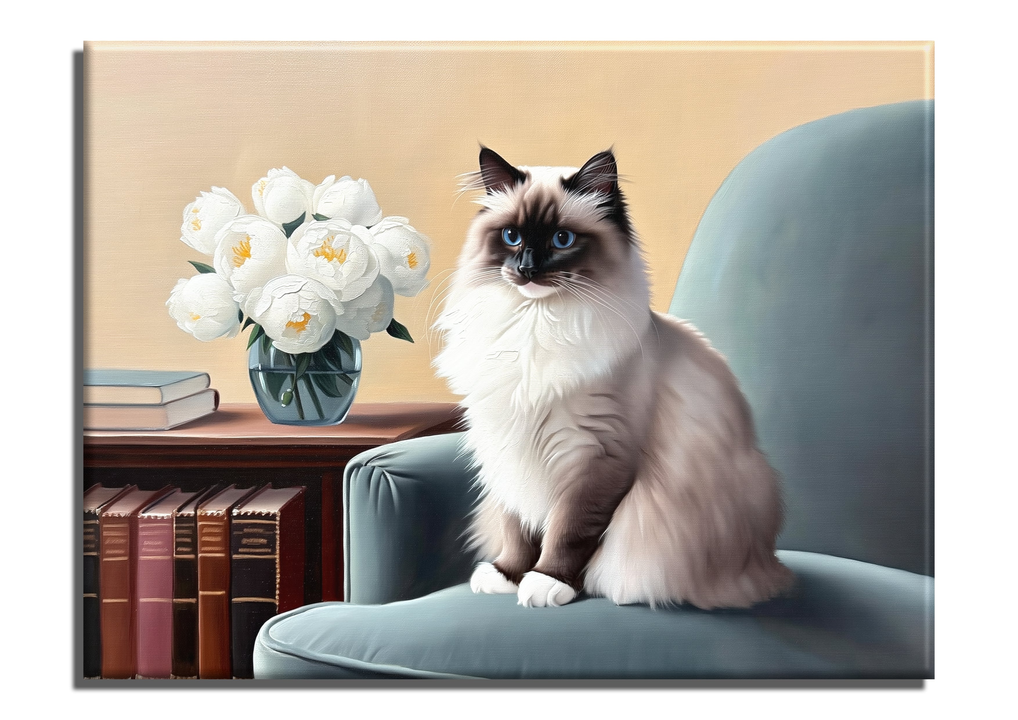 Ragdoll