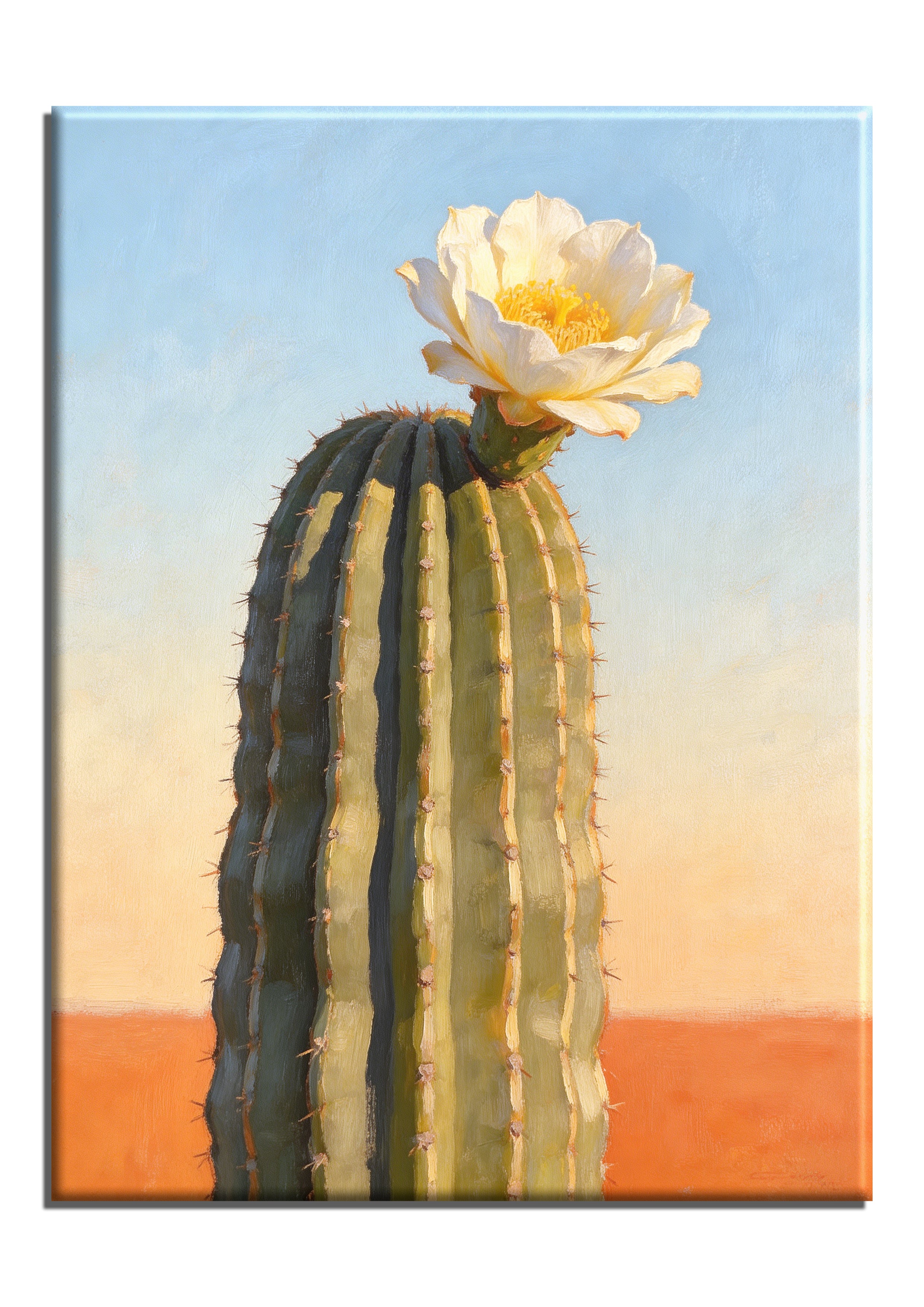 Saguaro Cactus