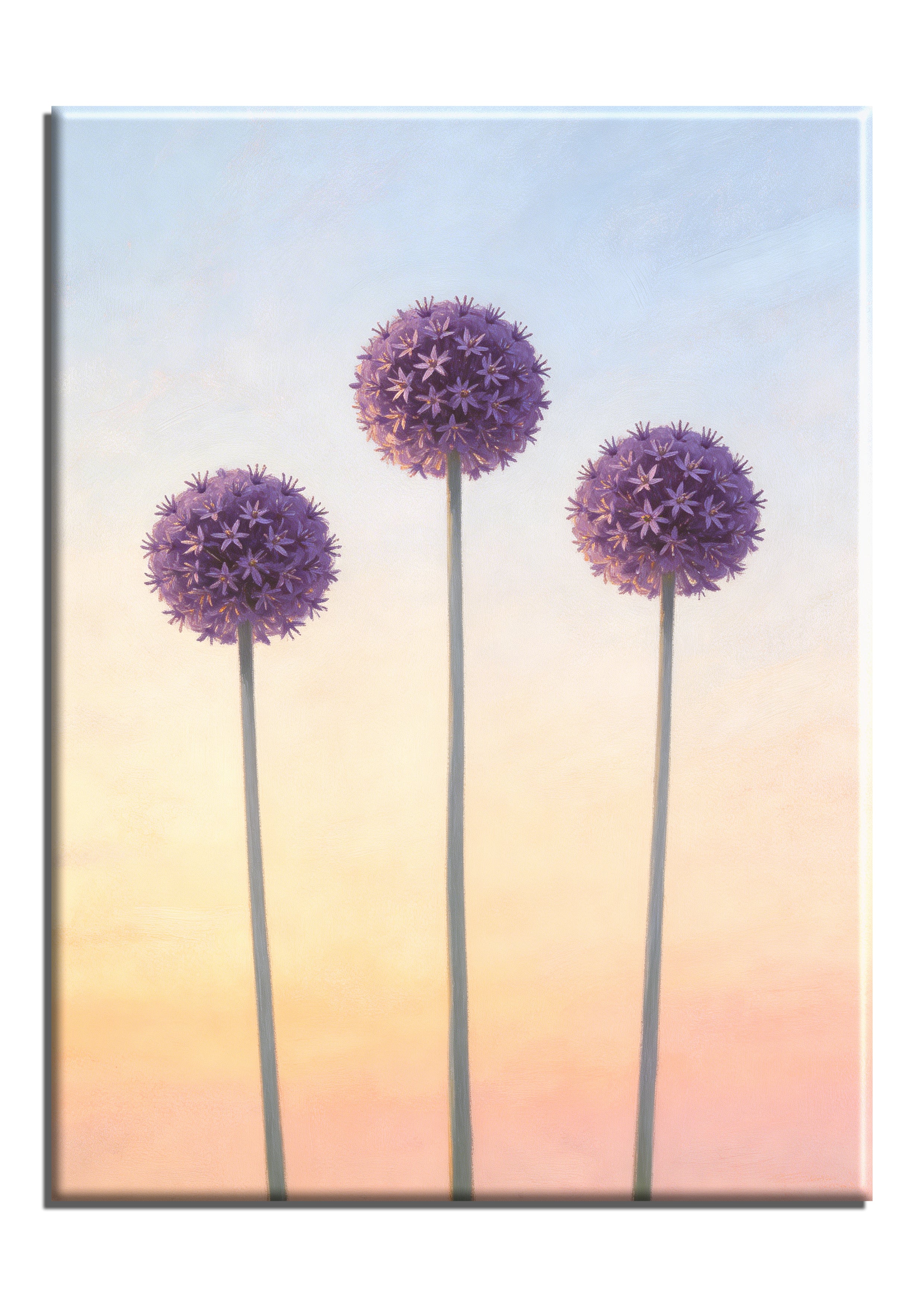 Tall Allium Spheres