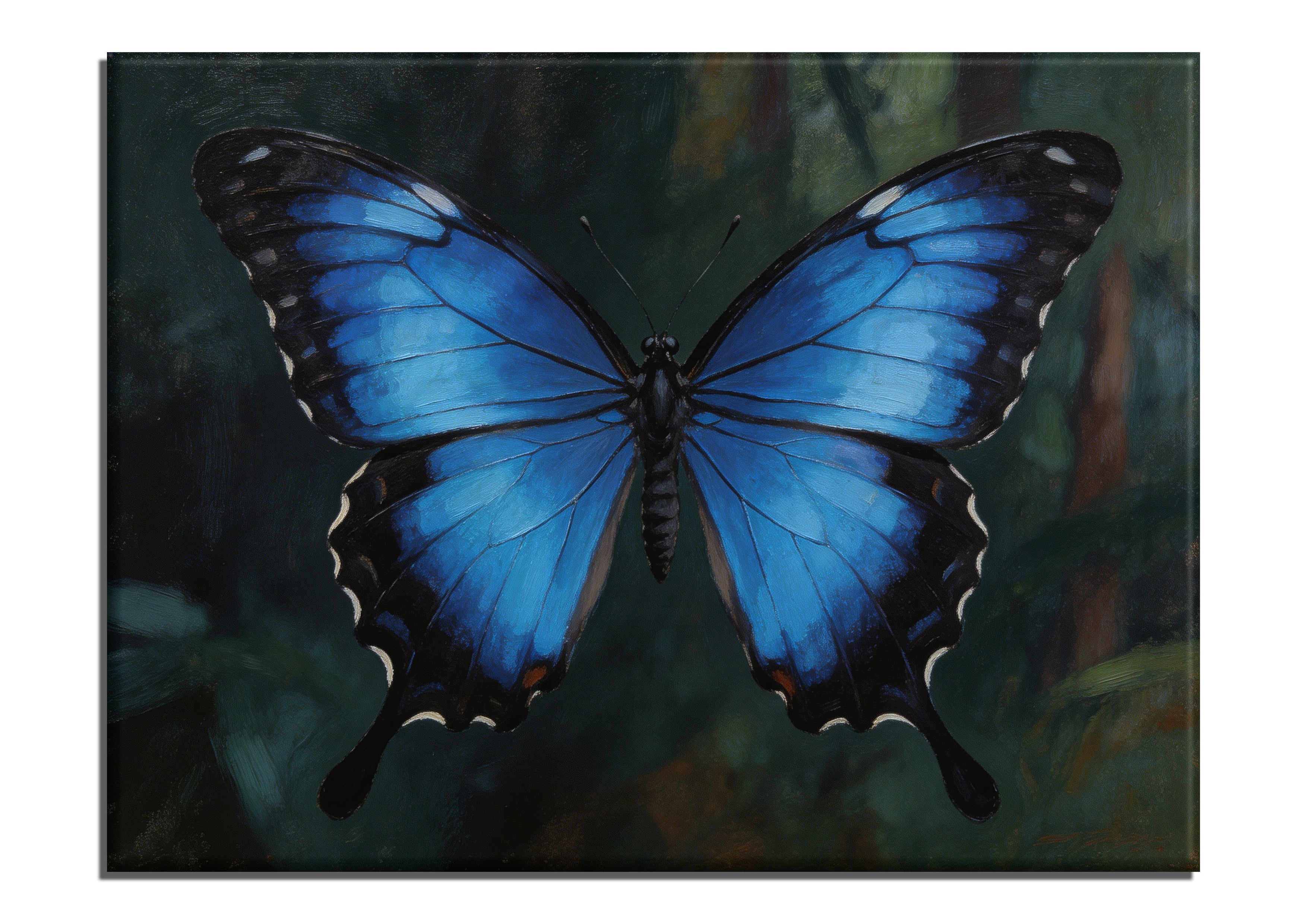 Ulysses Swallowtail Butterfly