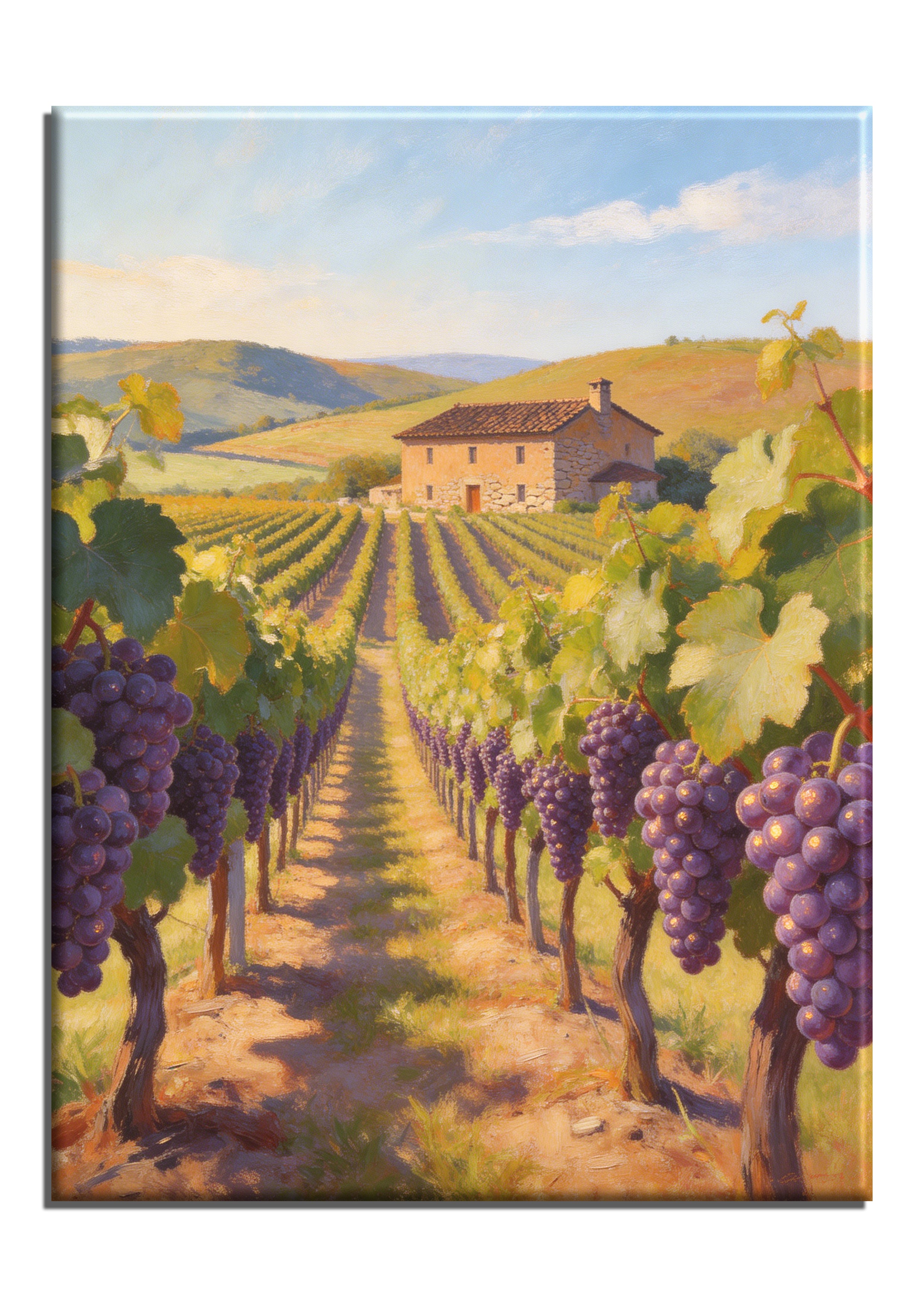 Vinyard Harvest