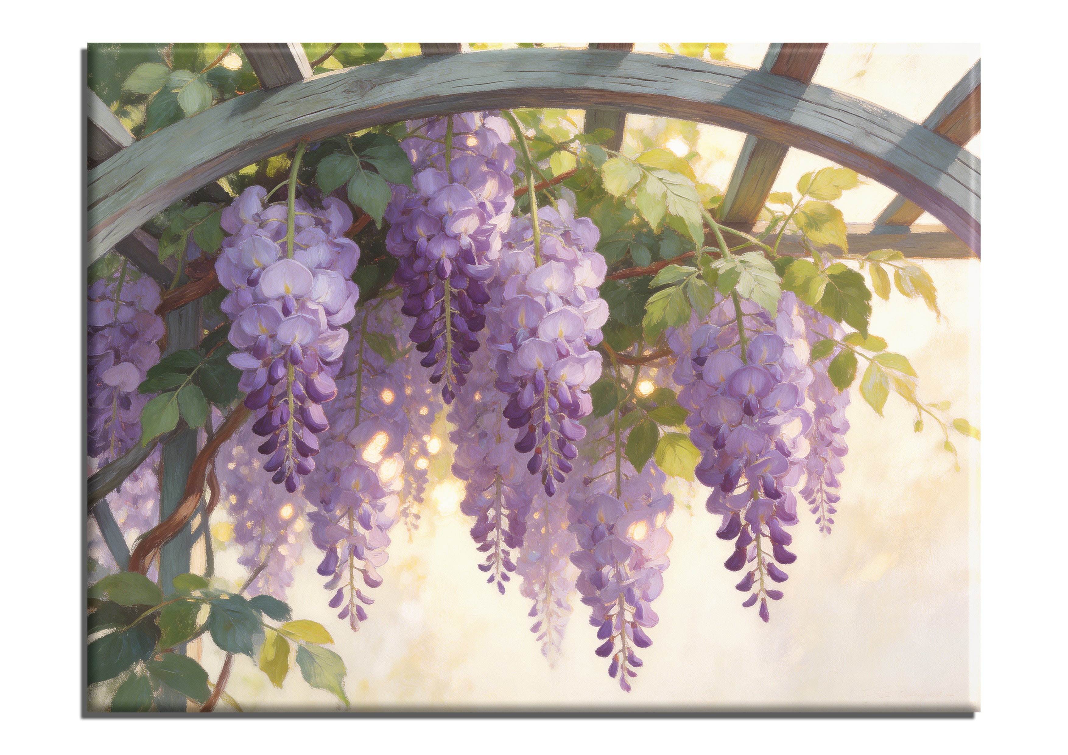 Violet Wisteria