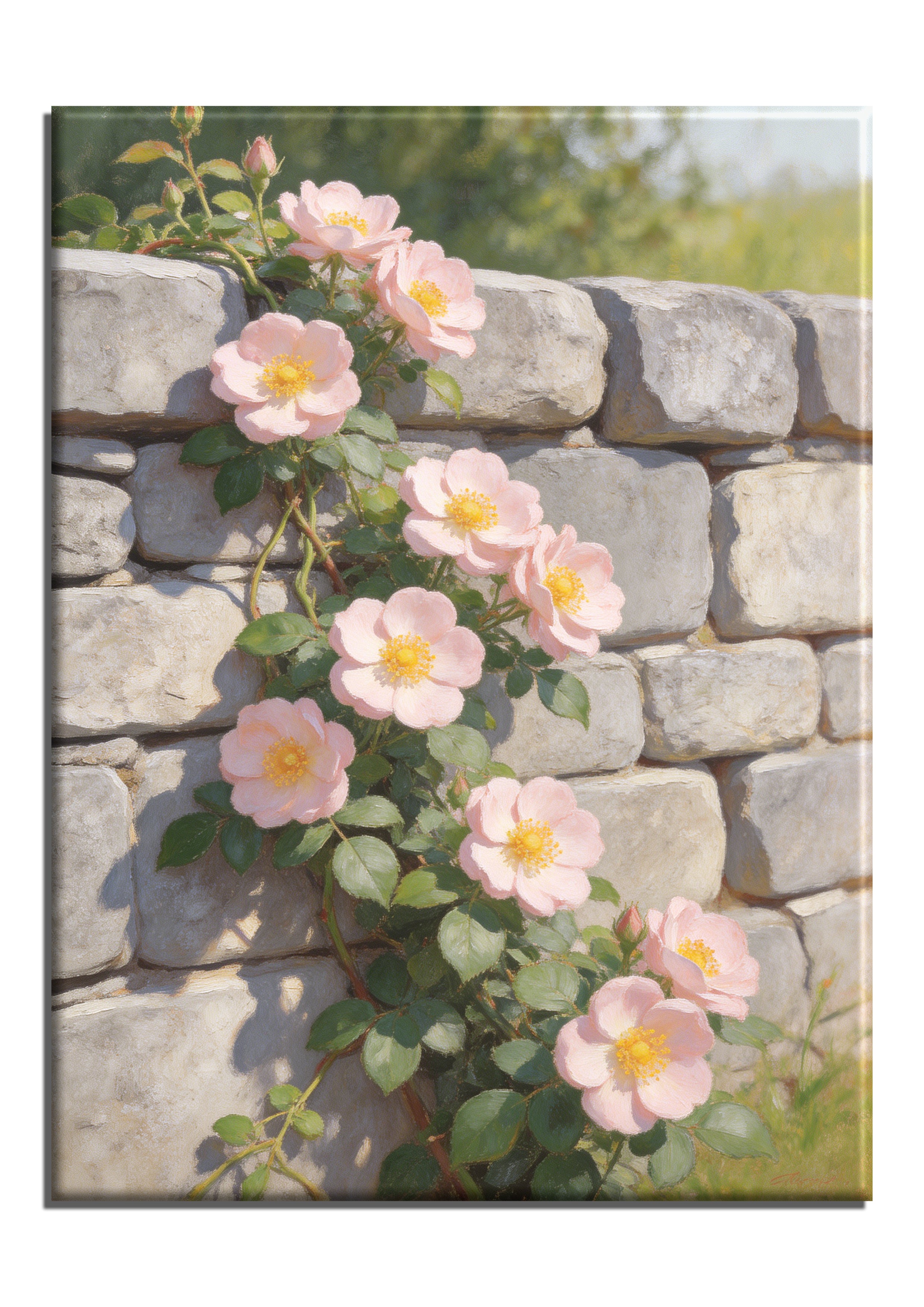Wild Roses