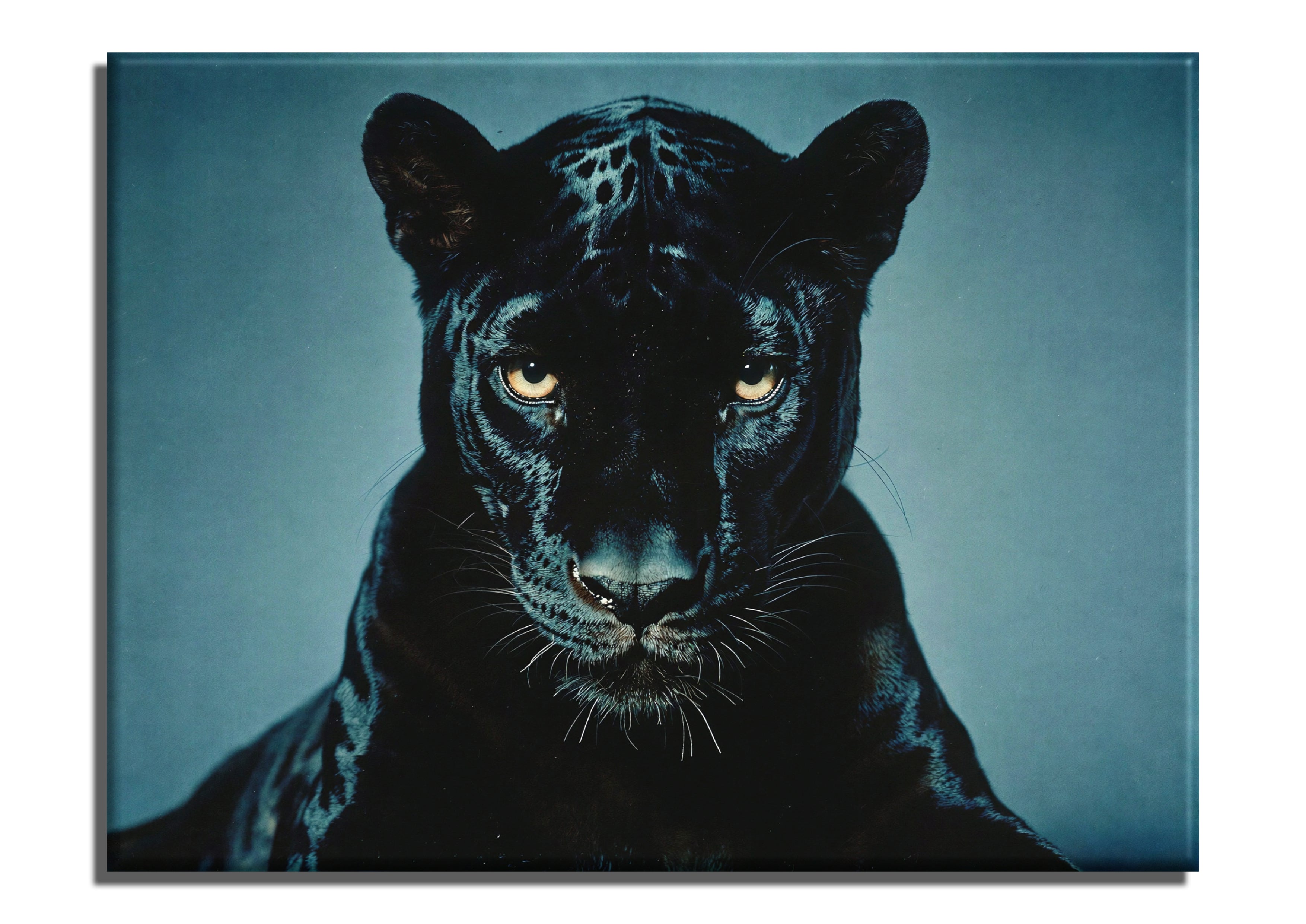 Y2K Black Panther