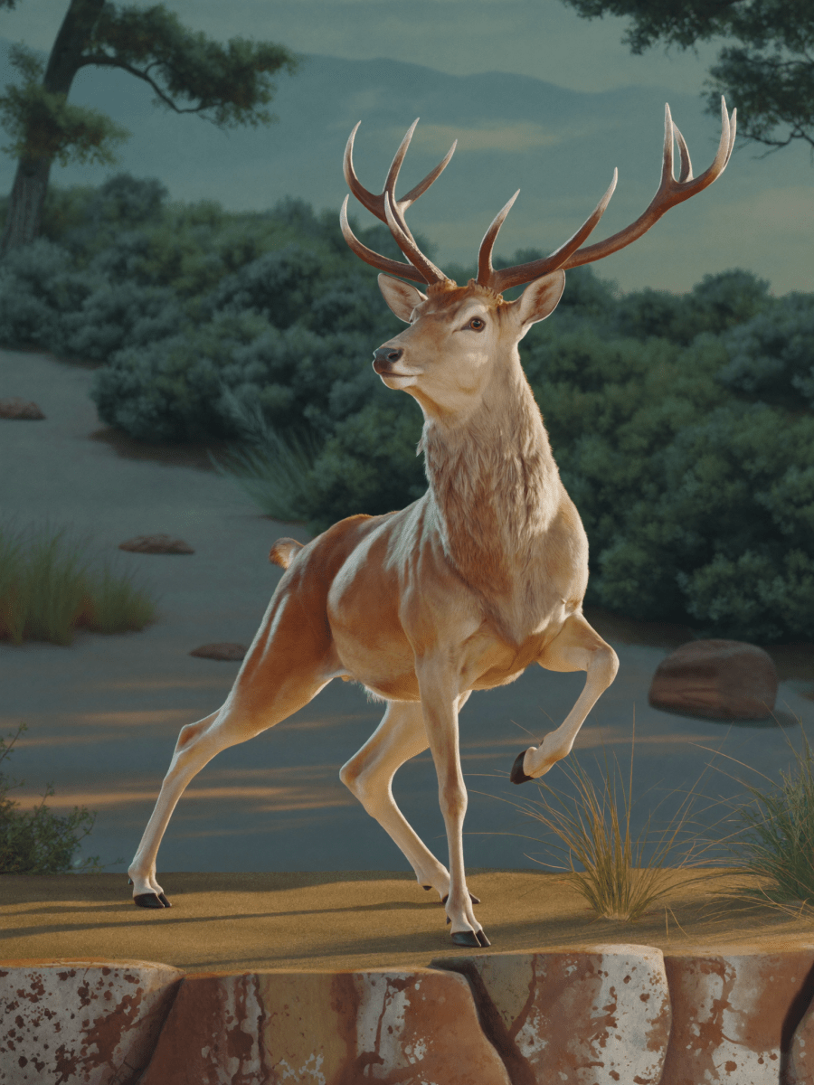 Dancing Stag - Escape by Numbers