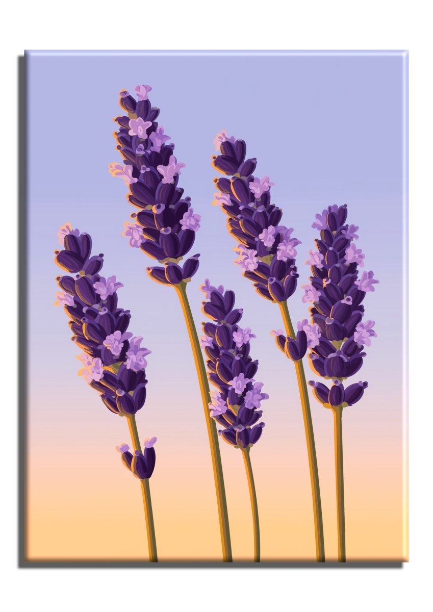 Lavender - Escape by Numbers