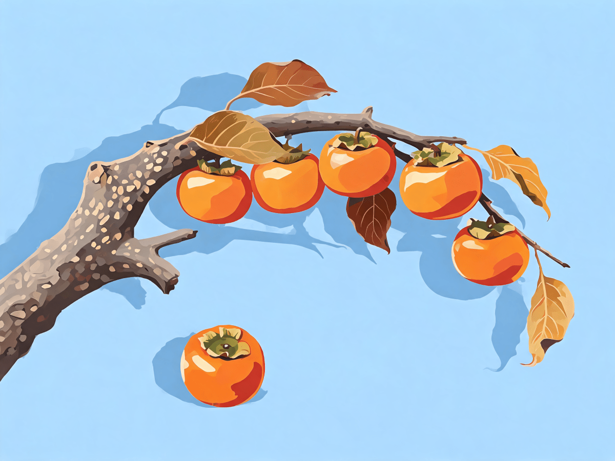 Persimmon Branch - Escape by Numbers