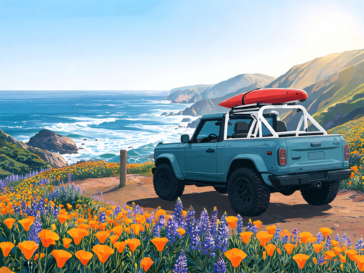 Poppy Bluff Explorer - Escape by Numbers